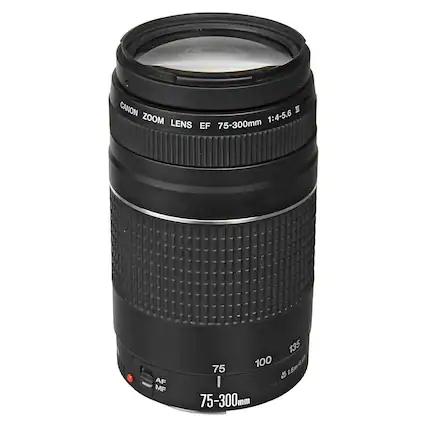 CANON ZOOM LENS EF 75-300mm 1:4-5.6 III
AF MF
75-300mm
1.5m/49
75 100 135