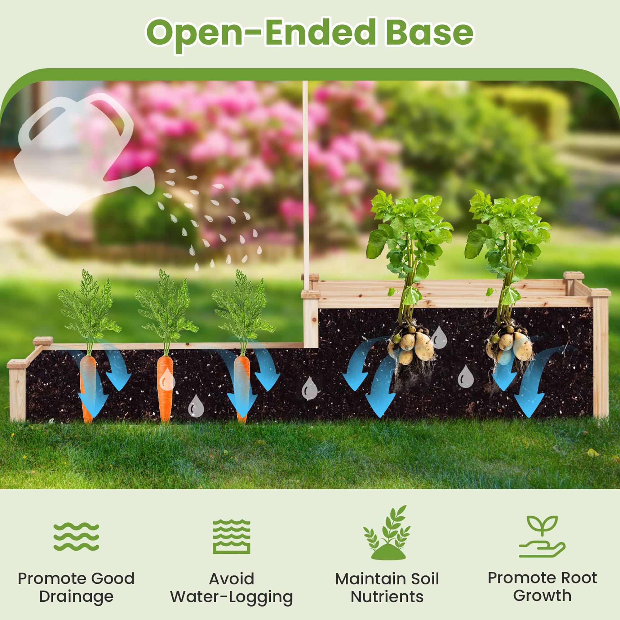 Open-Ended Base

- Promote Good Drainage
- Avoid Water-Logging
- Maintain Soil Nutrients
- Promote Root Growth