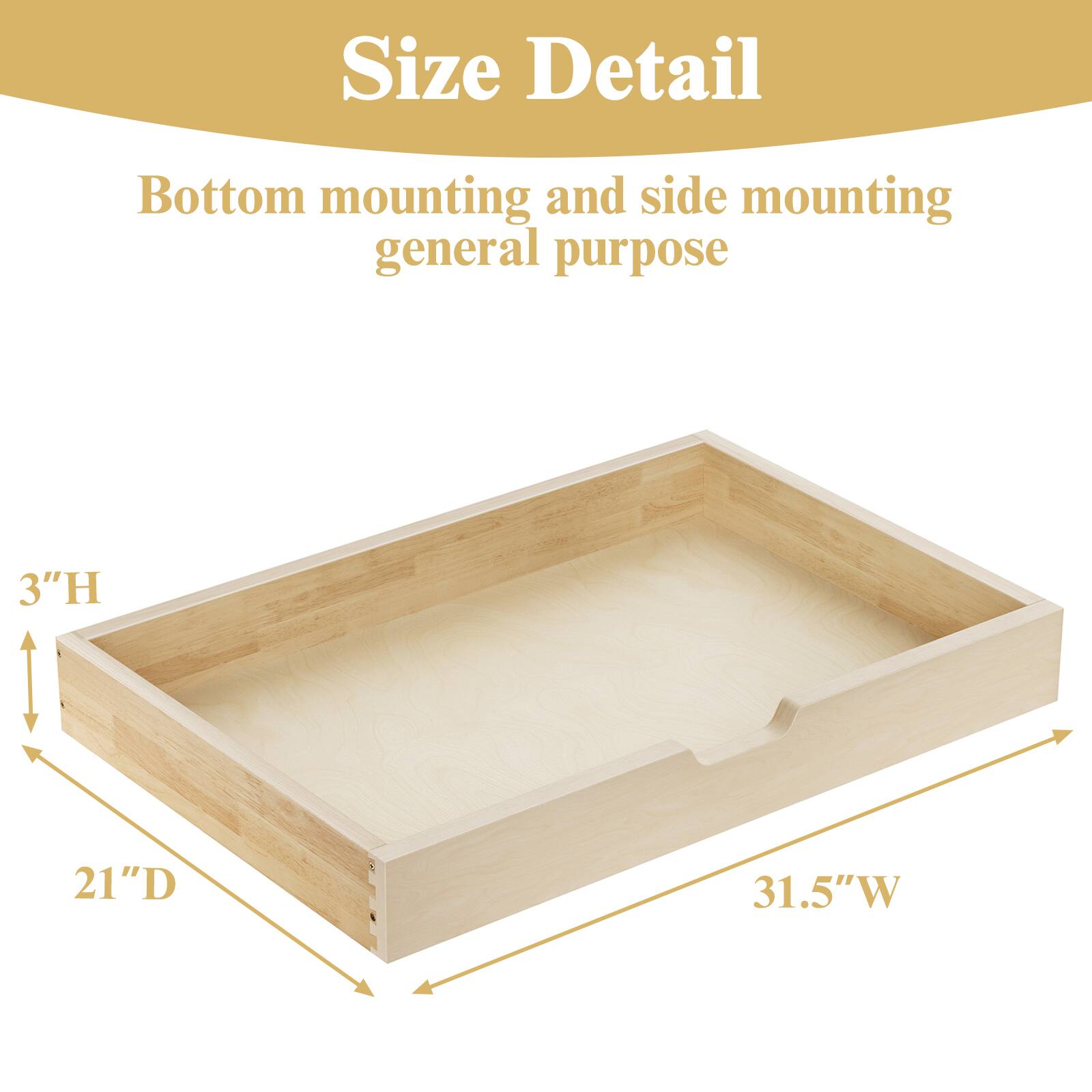 Size Detail

Bottom mounting and side mounting general purpose

3"H  
21"D  
31.5"W