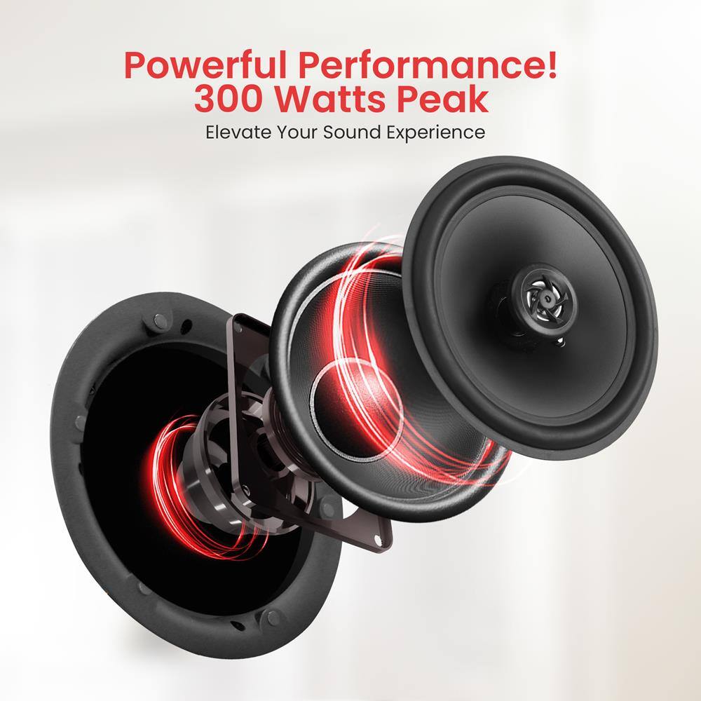 Powerful Performance!  
300 Watts Peak  
Elevate Your Sound Experience