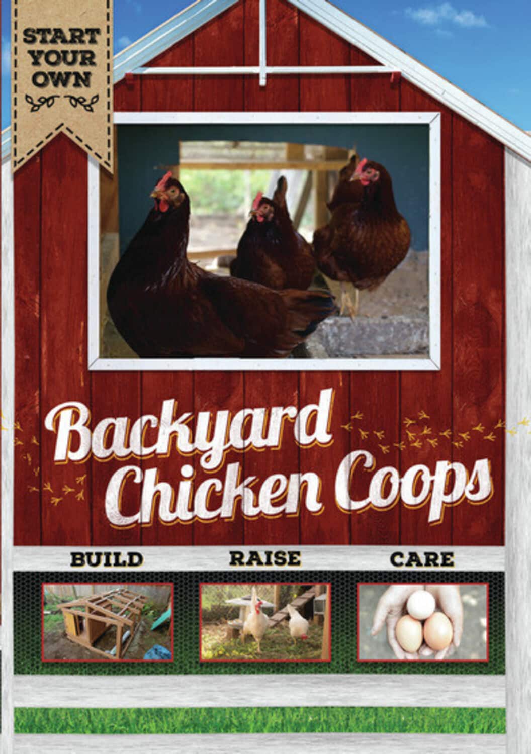 Backyard Chicken Coops   - DVD price history on PriceWatchPro