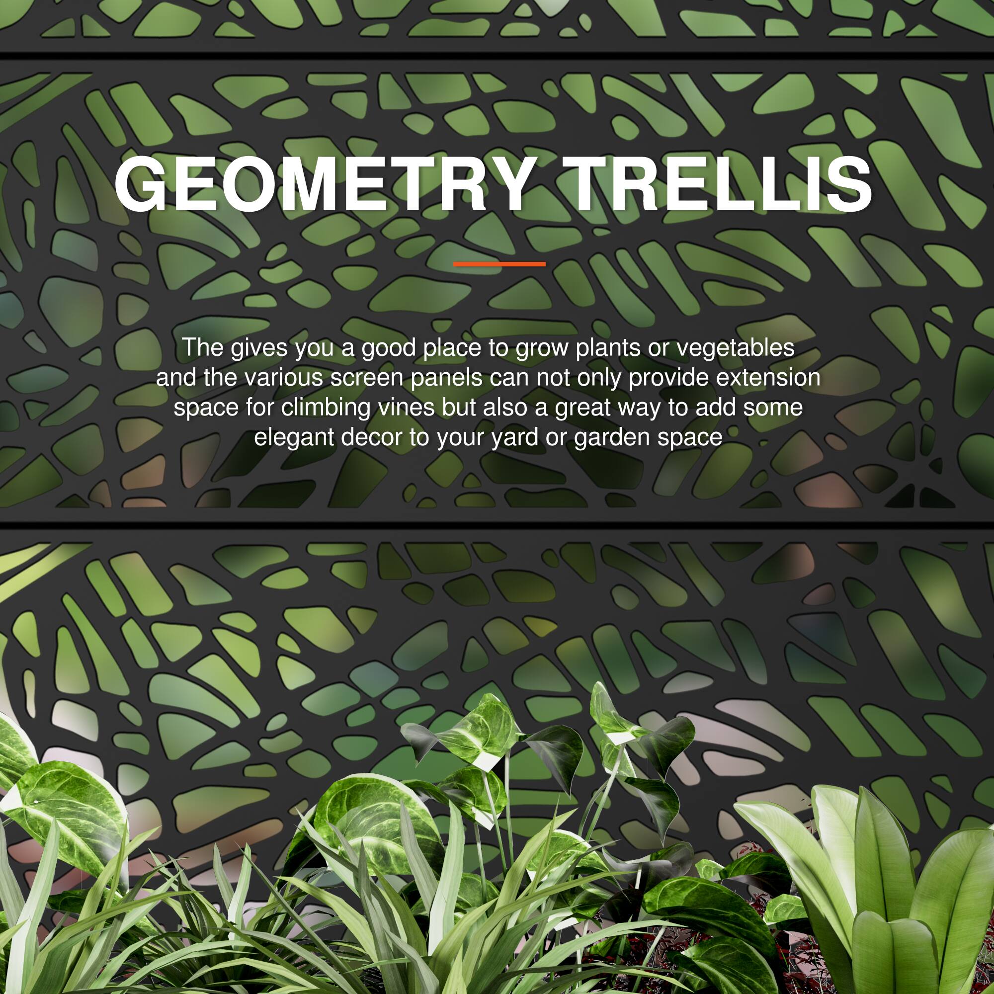 GEOMETRY TRELLIS

The gives you a good place to grow plants or vegetables and the various screen panels can not only provide extension space for climbing vines but also a great way to add some elegant decor to your yard or garden space.