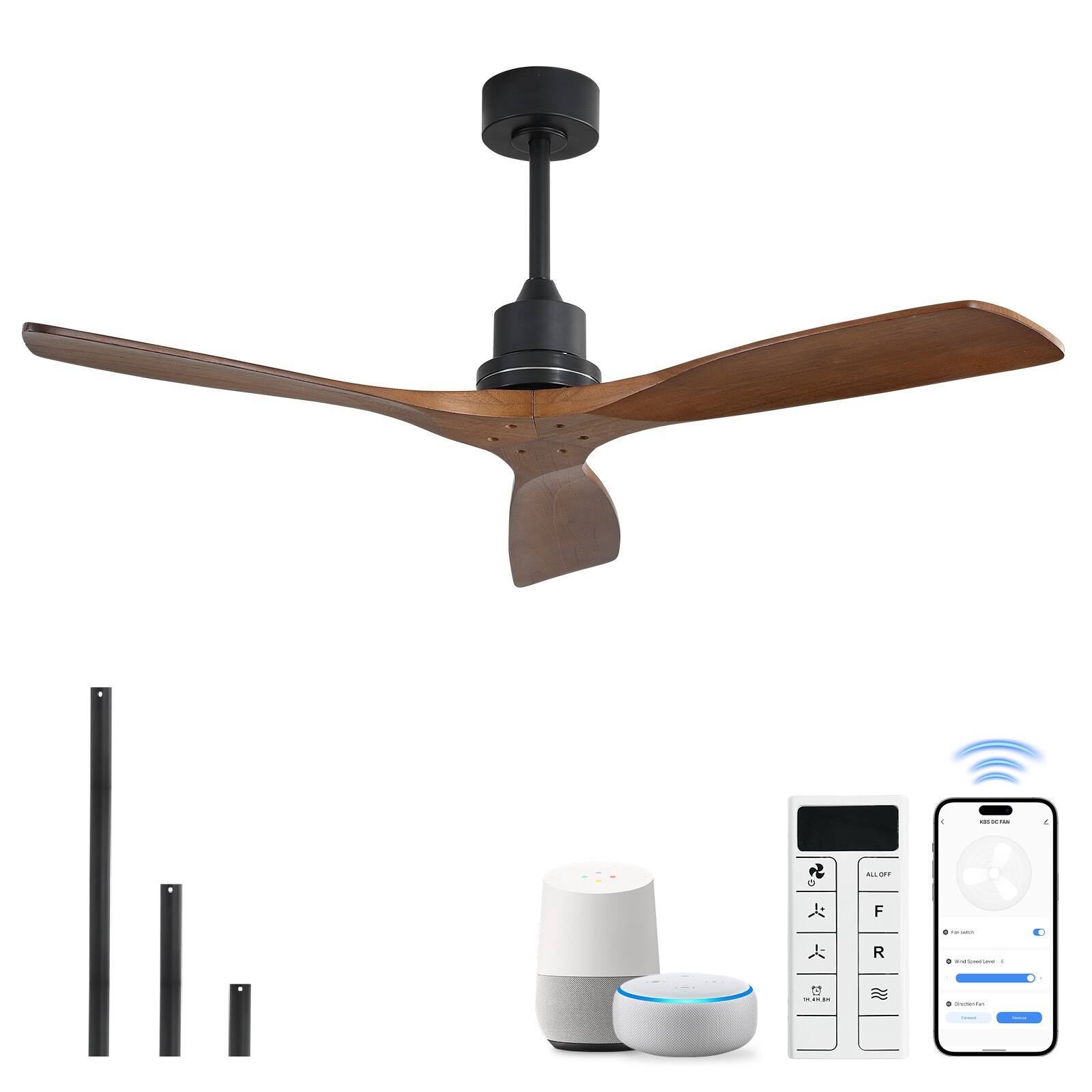 Black - Without Light