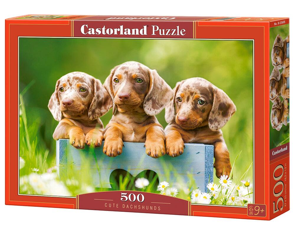500 Piece Jigsaw Puzzles, Cute Dachshunds , Animal puzzle, Dogs, Puppies, Adult Puzzle, Castorland B-53605 - Red