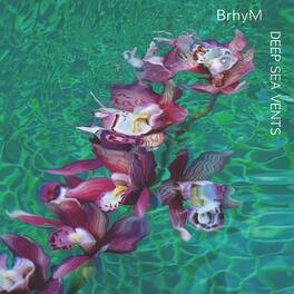 Brhym - Deep Sea Vents - VINYL LP