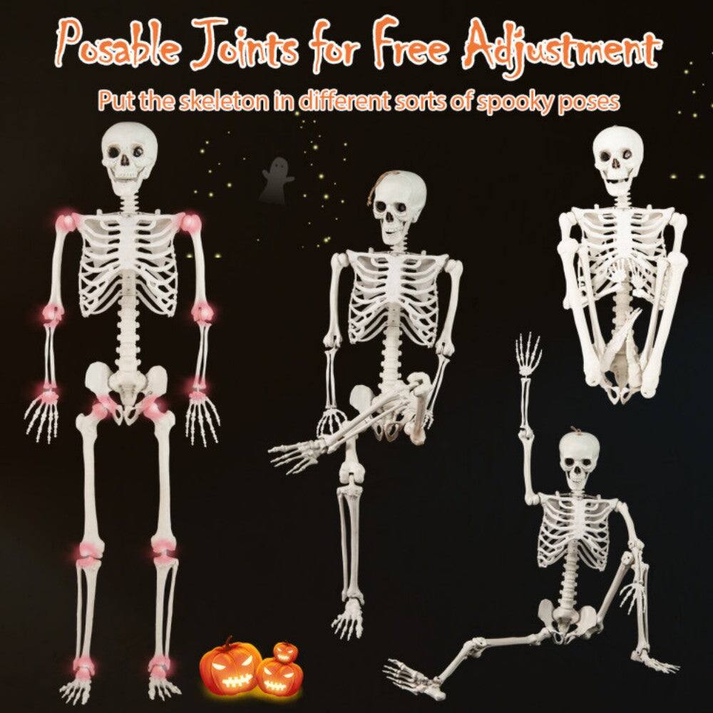 Posable Joints for Free Adjustment  
Put the skeleton in different sorts of spooky poses