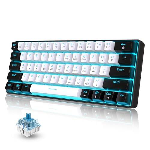Black White(Ice Blue Light)/Blue Switch