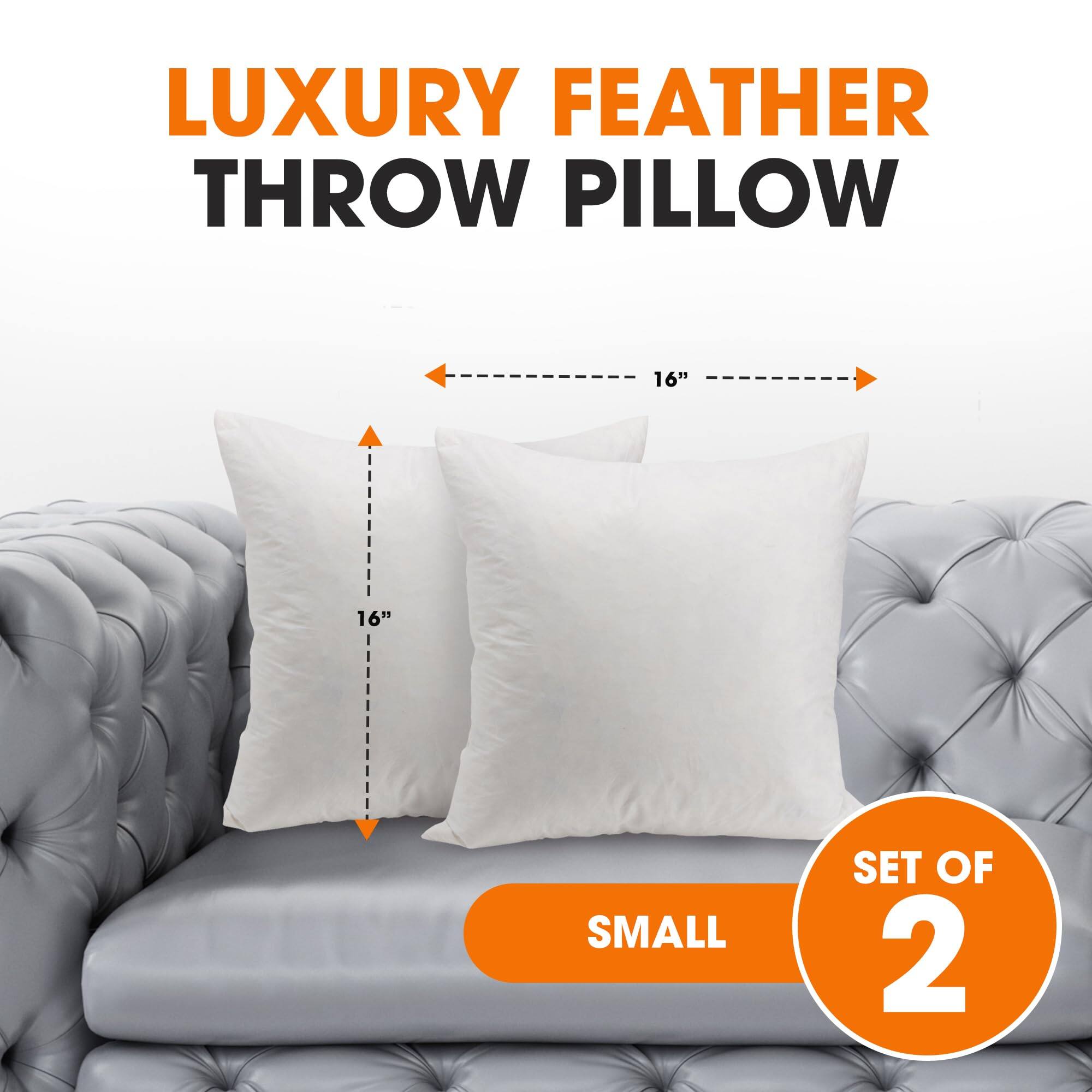 LUXURY FEATHER THROW PILLOW  
16" x 16"  
SMALL  
SET OF 2