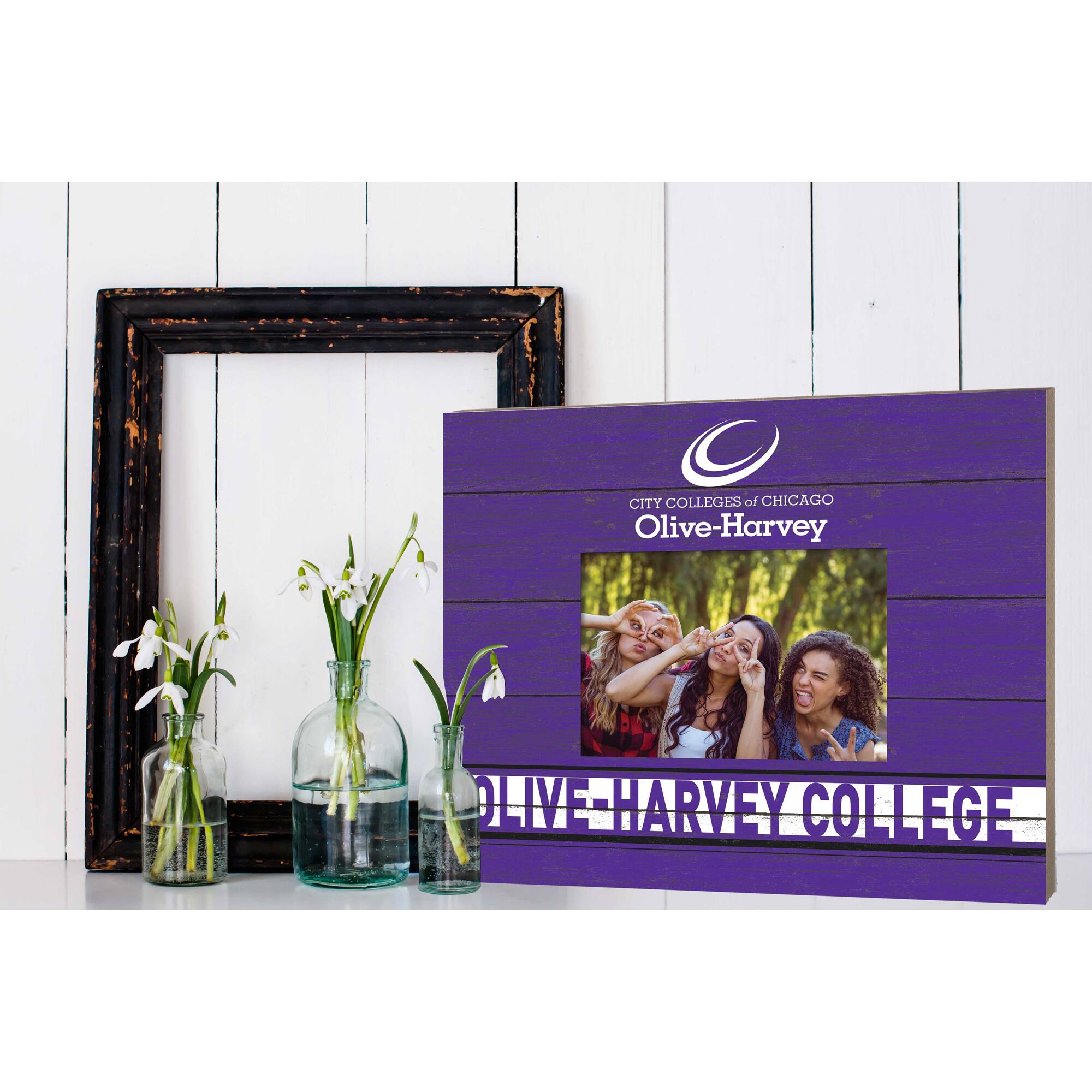 CITY COLLEGES of CHICAGO Olive-Harvey: OLIVE HARVEY COLLEGE