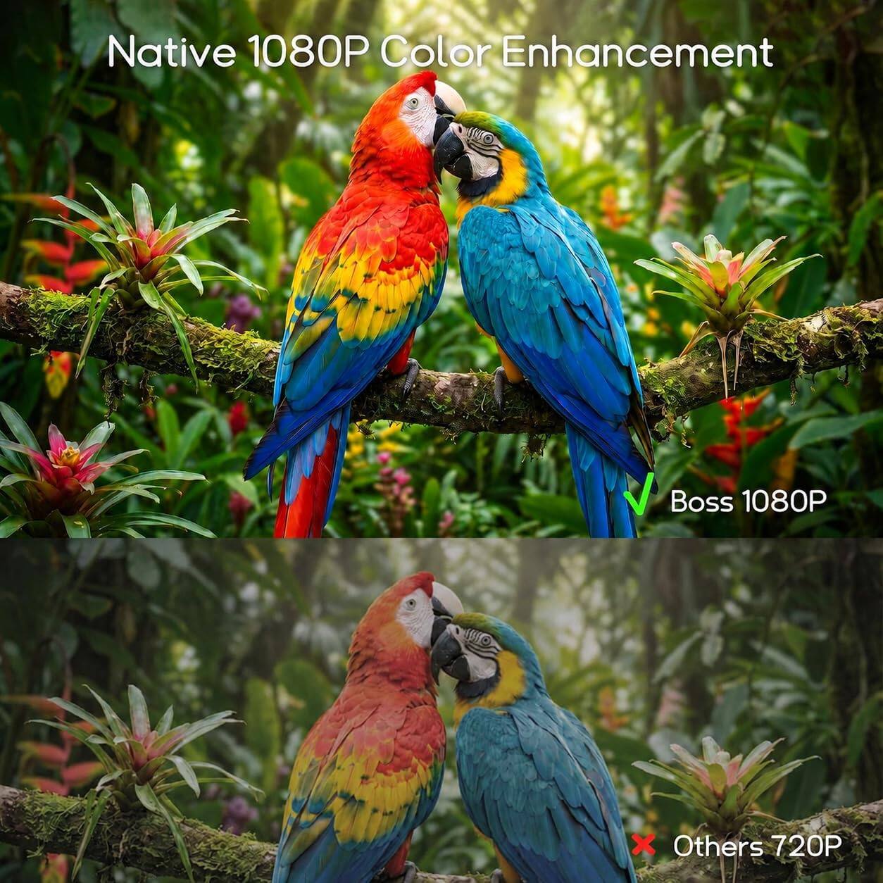 Native 1080P Color Enhancement

Boss 1080P

Others 720P