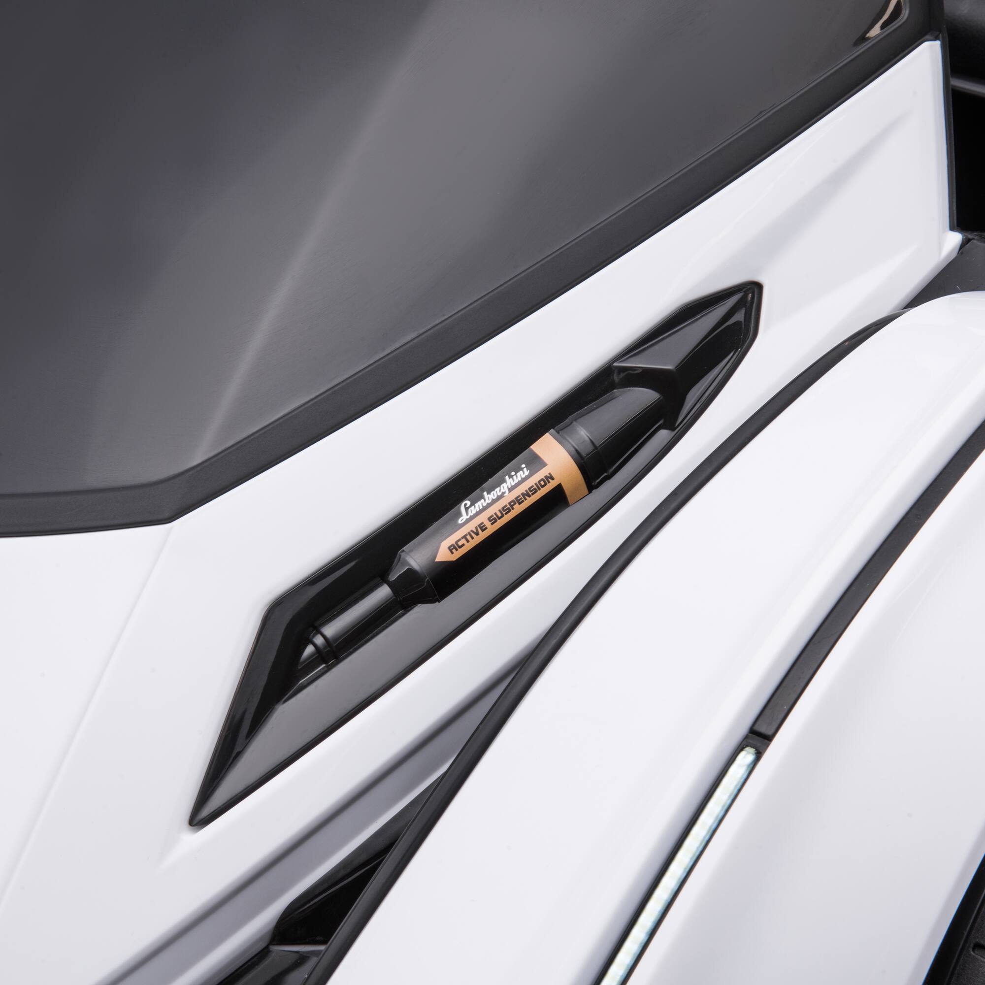 SUSPENSION ACTIVE  
Lamborghini  
ACTIVE SUSPENSION