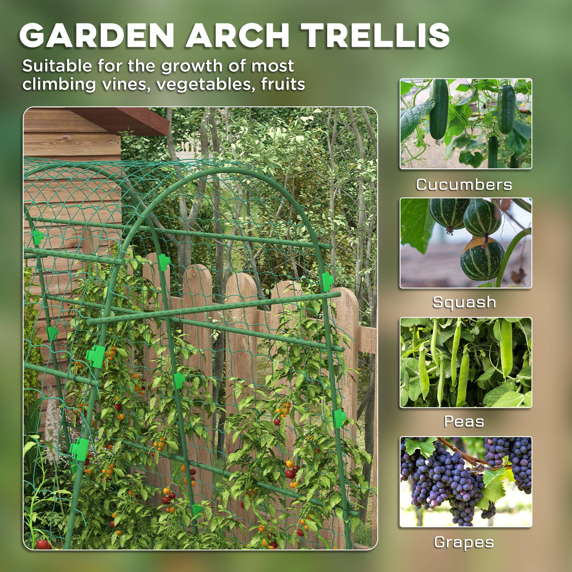 GARDEN ARCH TRELLIS

Suitable for the growth of most climbing vines, vegetables, fruits

- Cucumbers
- Squash
- Peas
- Grapes