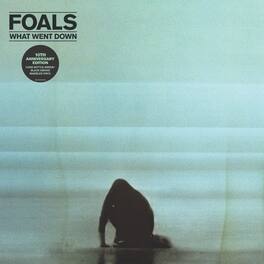 Foals - What Went Down - VINYL LP