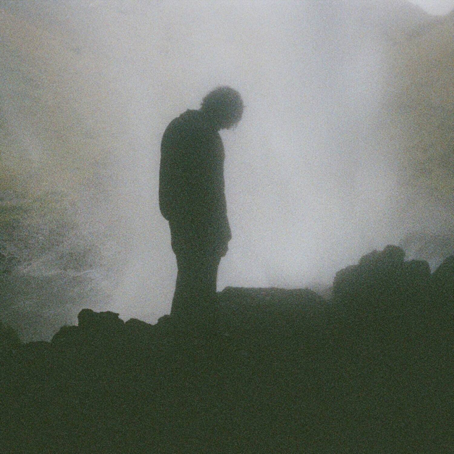 Palmistry - Afterlife - VINYL LP