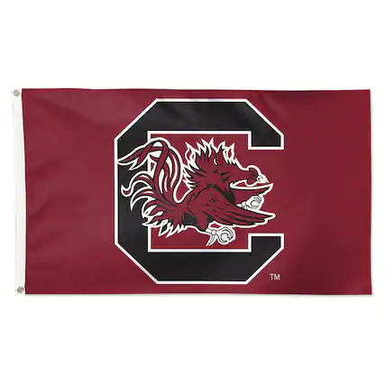 Front. WinCraft - South Carolina Gamecocks 3' x 5' Primary Logo Single-Sided Flag - Multicolor.