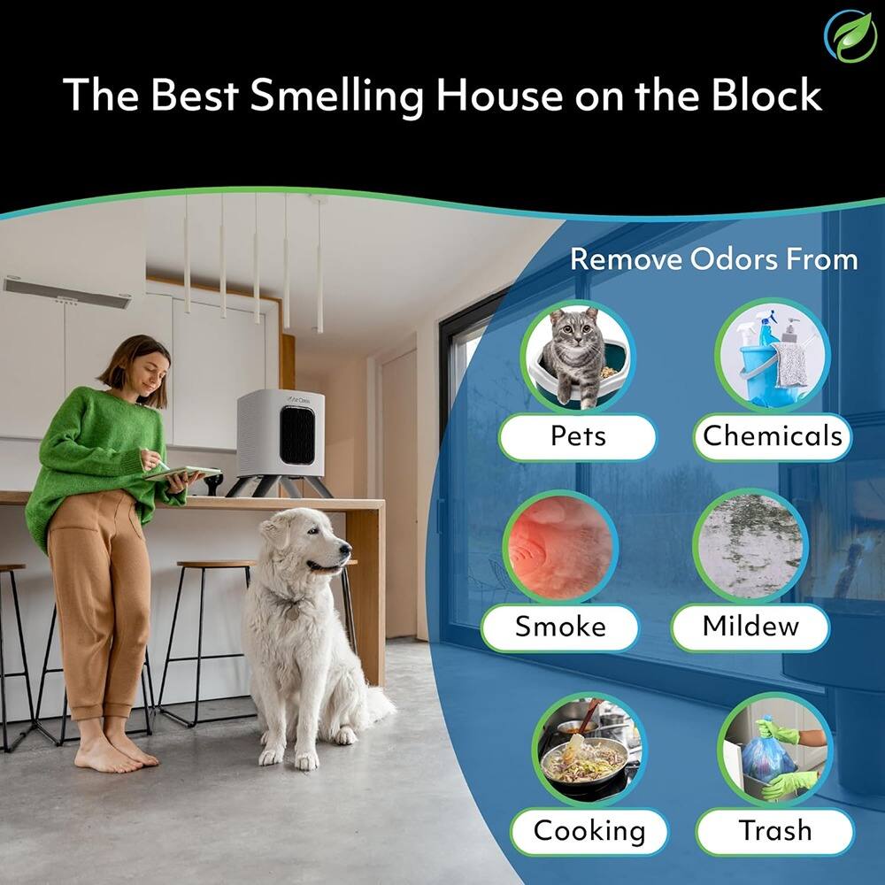 The Best Smelling House on the Block

Remove Odors From:
- Pets
- Chemicals
- Smoke
- Mildew
- Cooking
- Trash