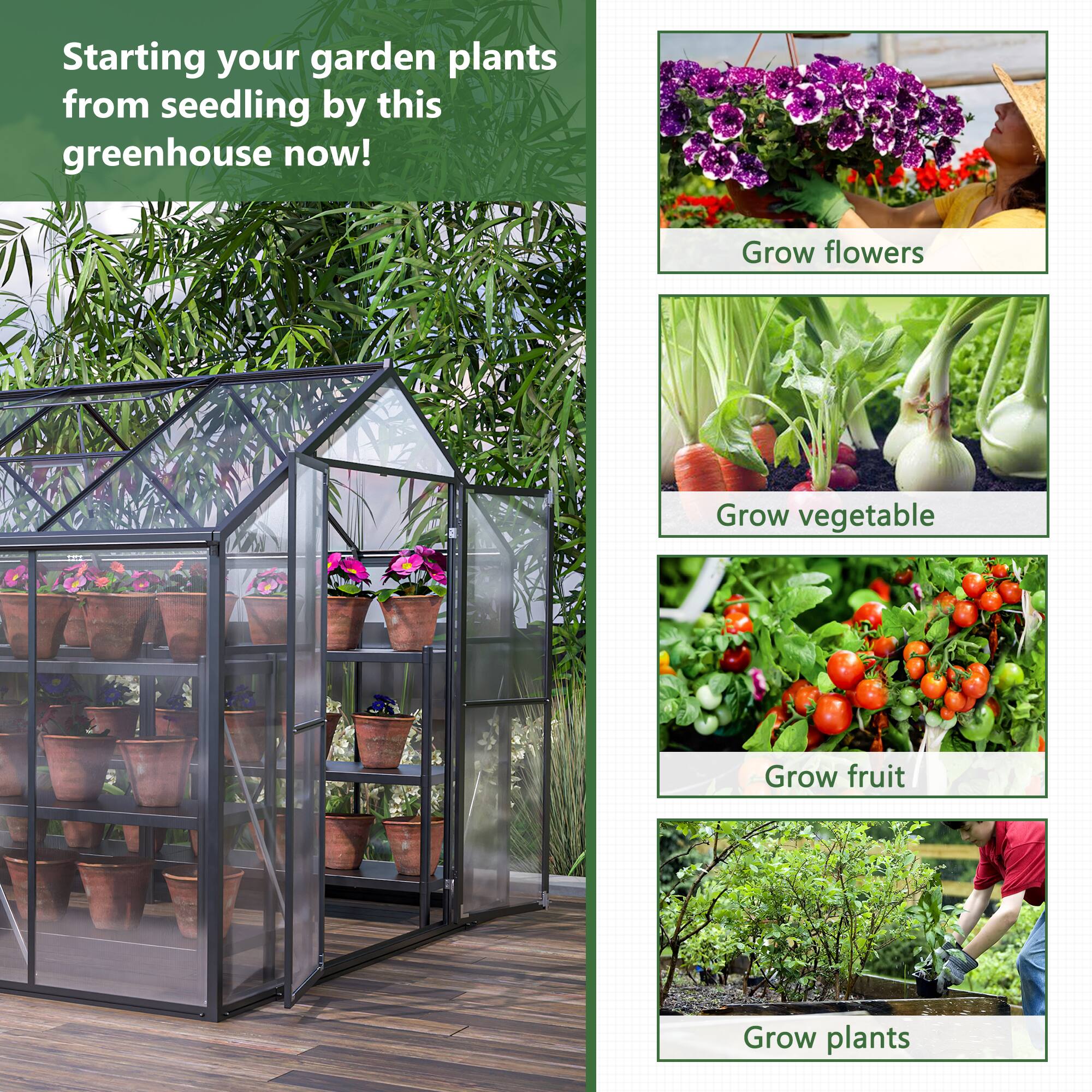 Starting your garden plants from seedling by this greenhouse now!

- Grow flowers
- Grow vegetable
- Grow fruit
- Grow plants