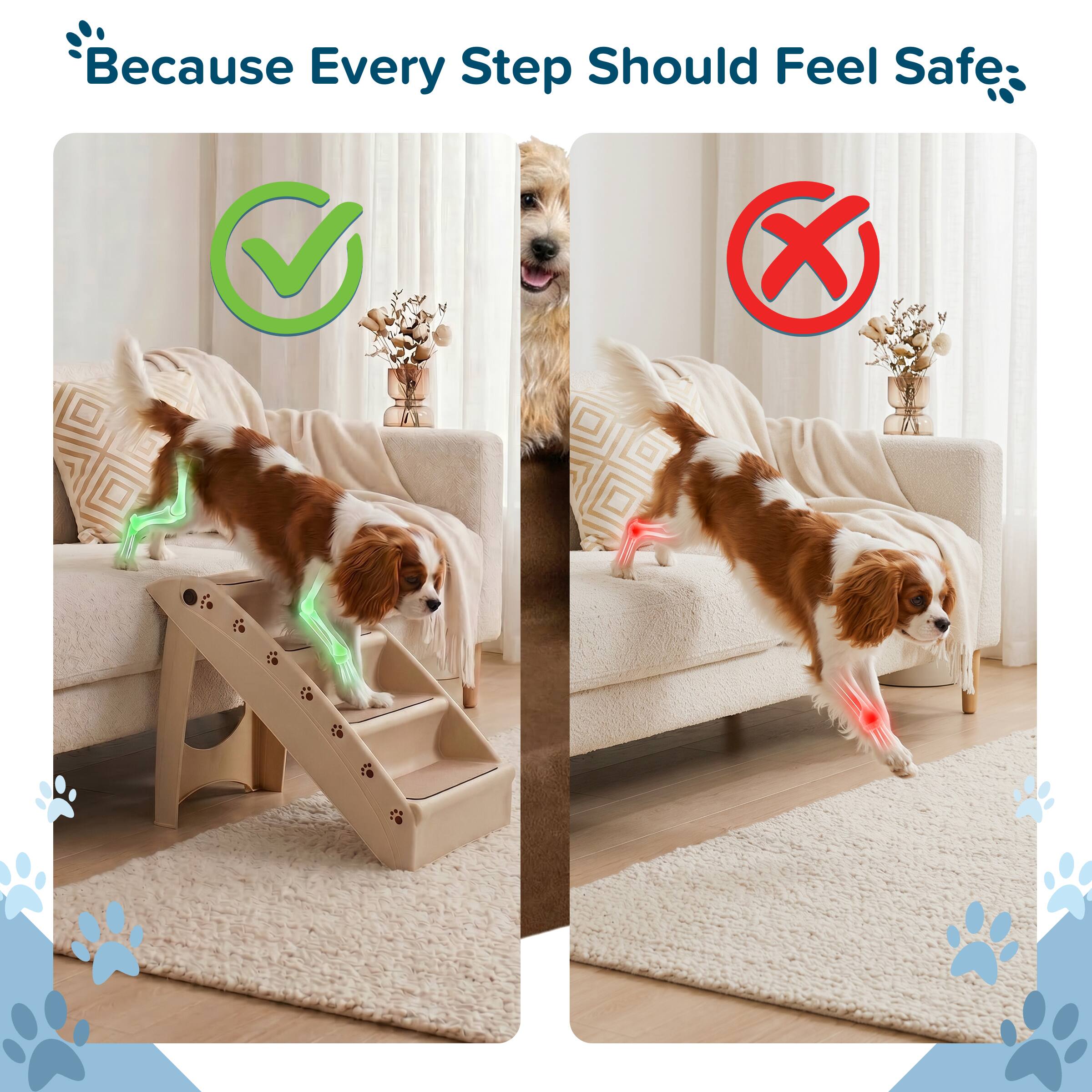 Because Every Step Should Feel Safe