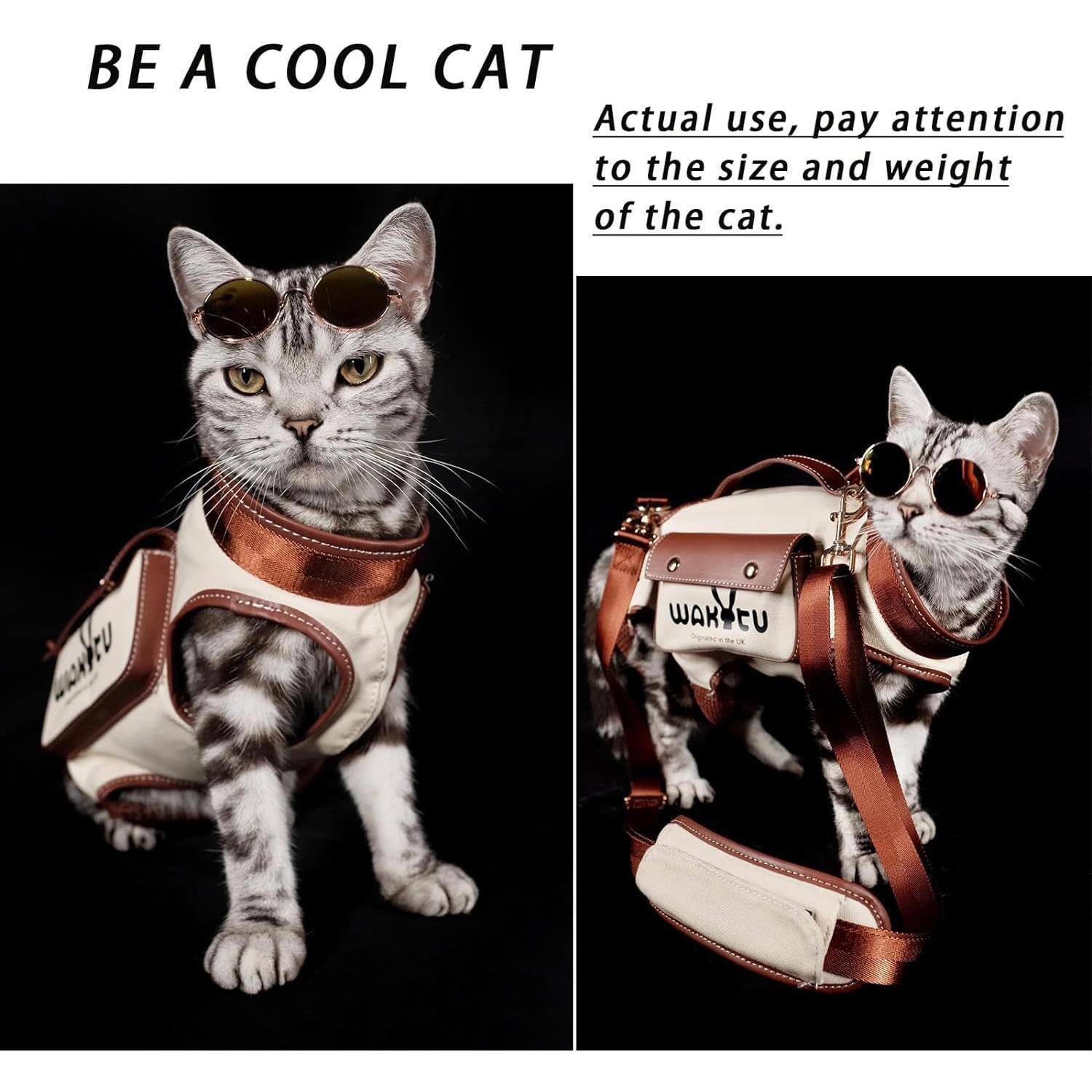 BE A COOL CAT

Actual use, pay attention to the size and weight of the cat.