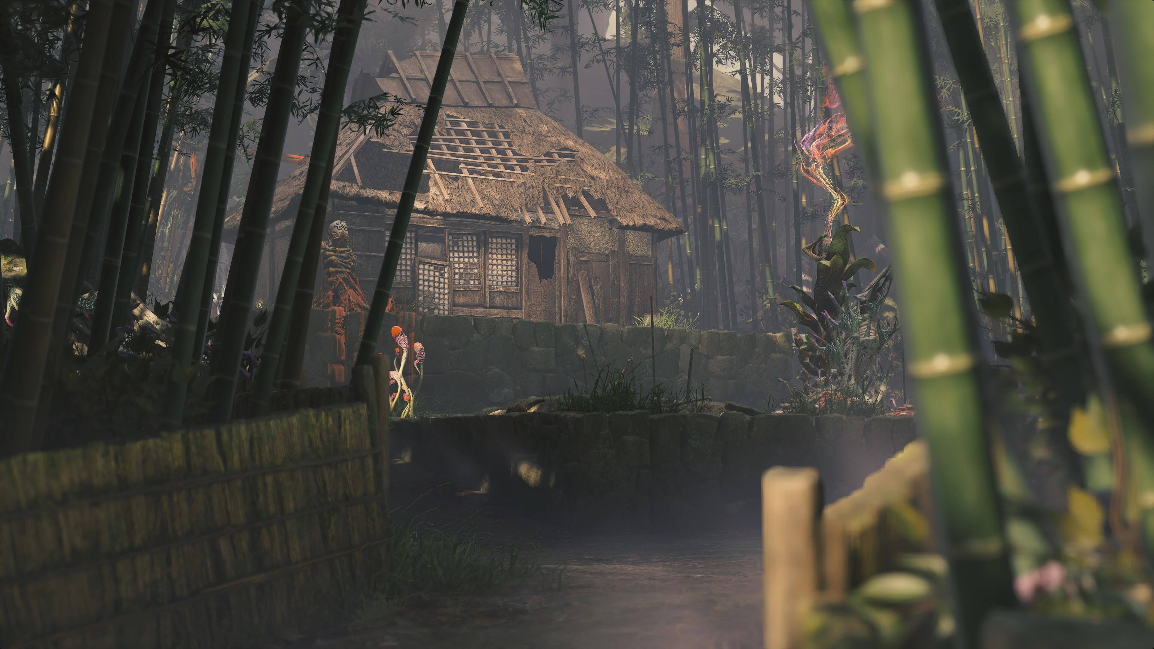 Angle. Capcom - Kunitsu-Gami: Path of the Goddess.