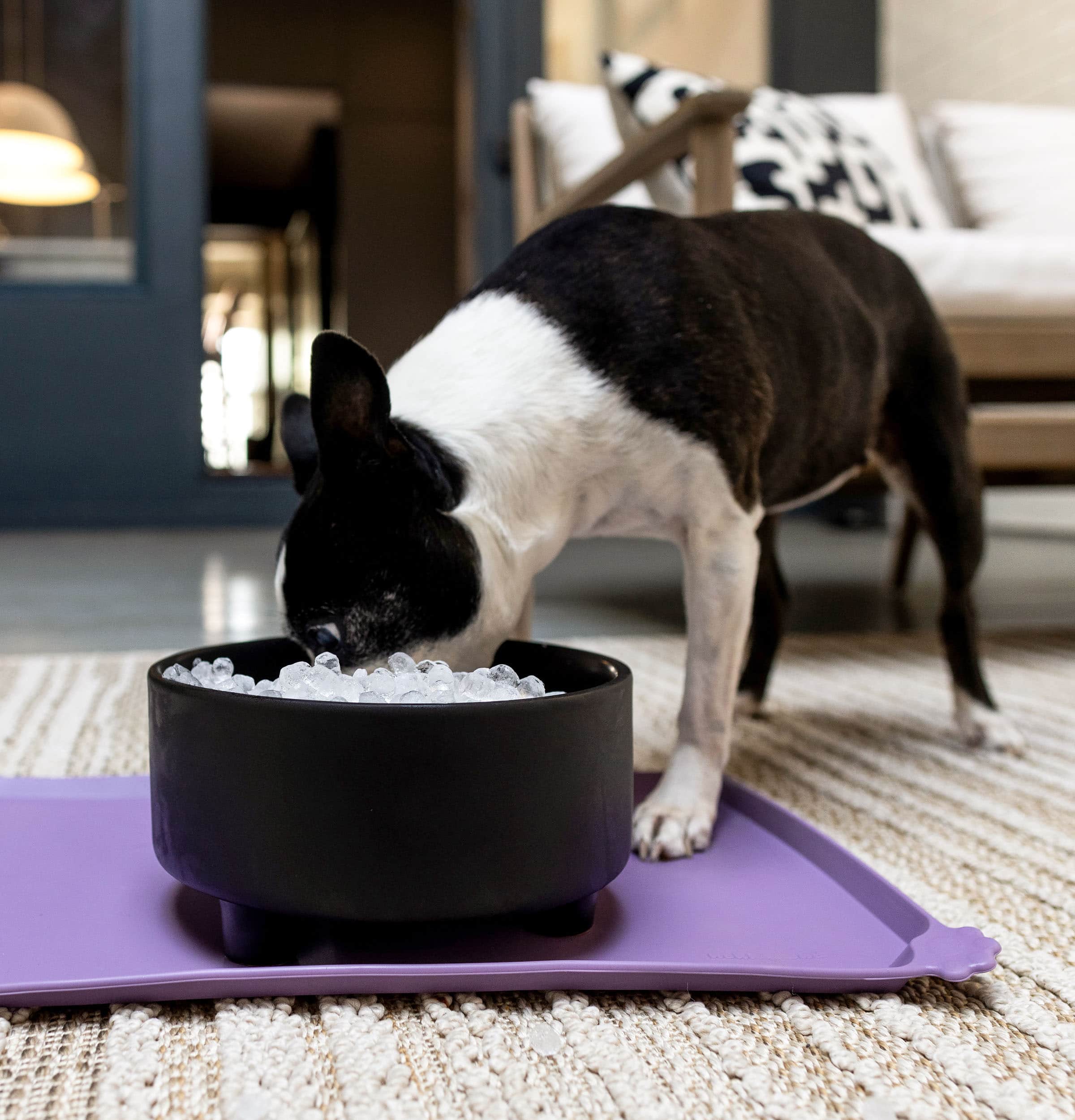Alt View 28. GE Profile - Opal 2.0 Ultra Nugget Ice Maker with Side Tank and Scale Inhibiting Filter - Stone White.