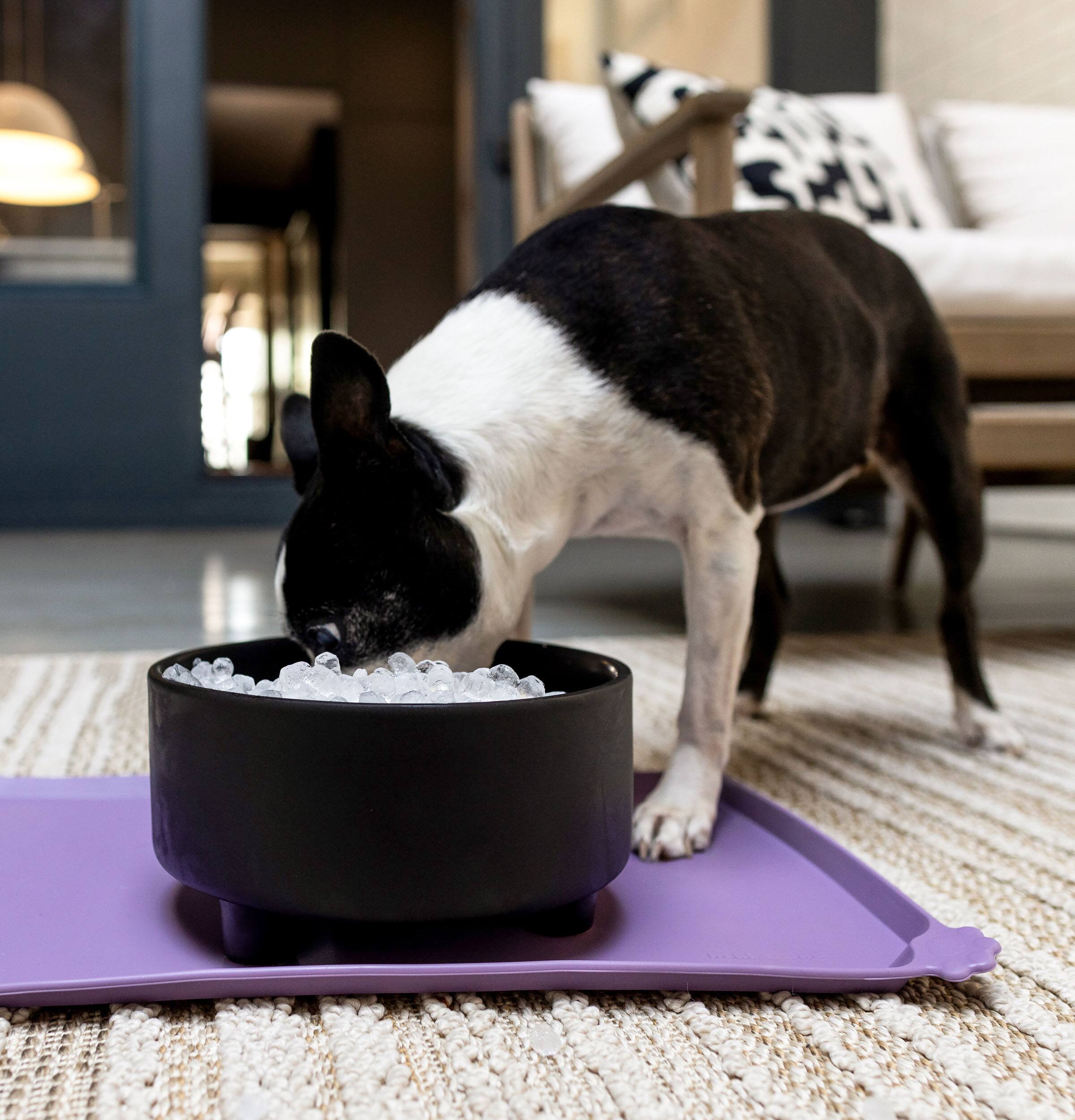 Alt View 28. GE Profile - Opal 2.0 Ultra Nugget Ice Maker with Side Tank and Scale Inhibiting Filter - Stone White.