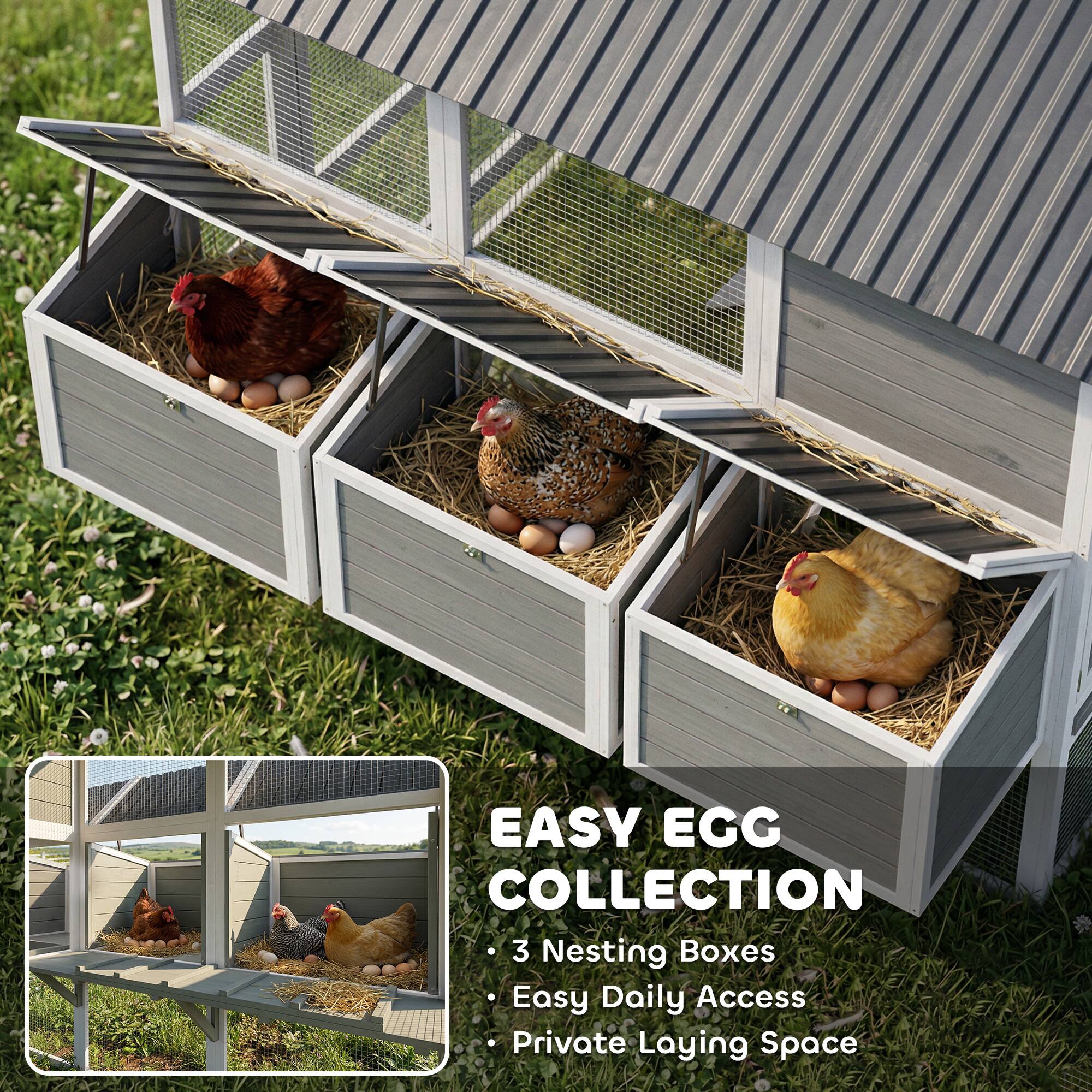 EASY EGG COLLECTION  
3 Nesting Boxes  
Easy Daily Access  
Private Laying Space