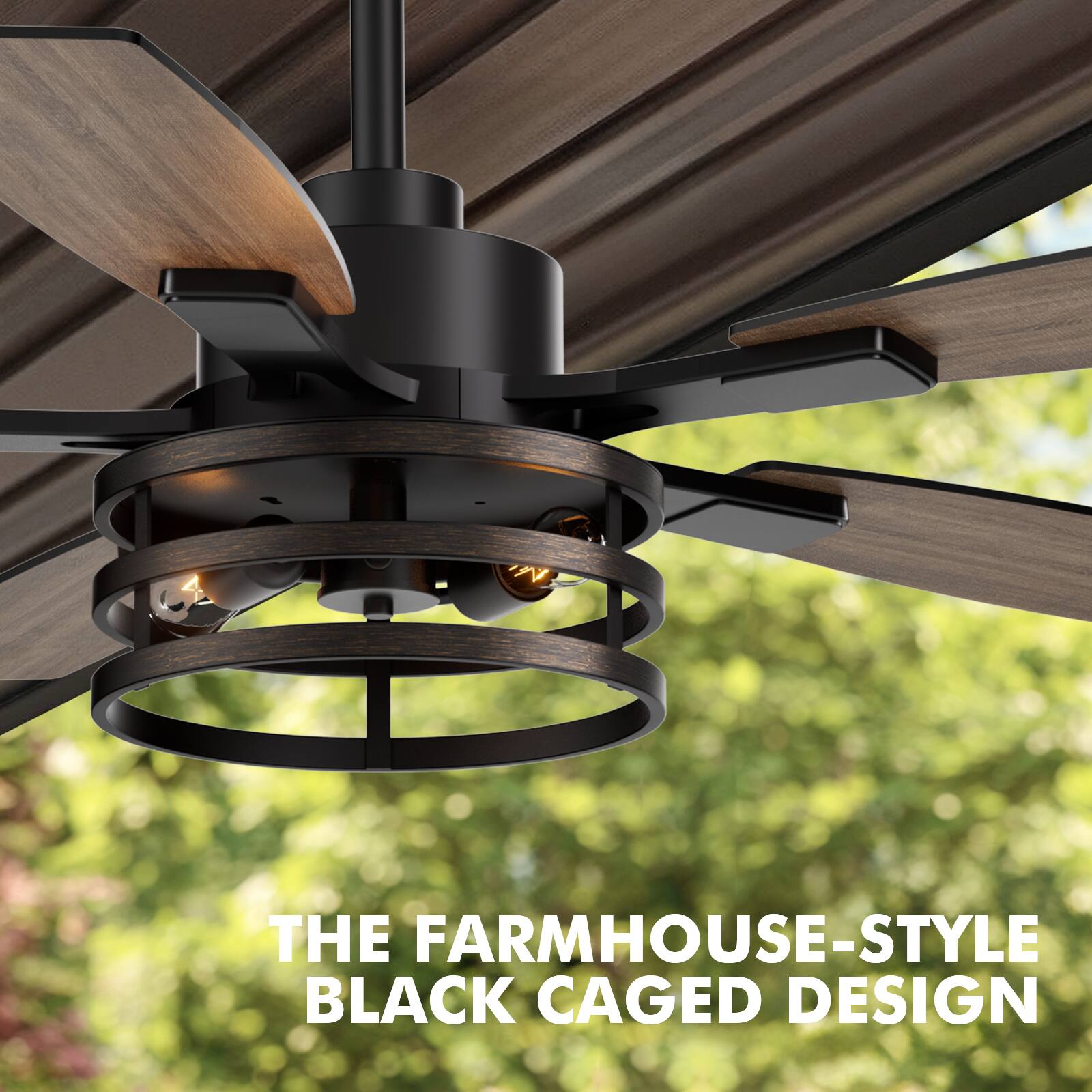 THE FARMHOUSE-STYLE BLACK CAGED DESIGN
