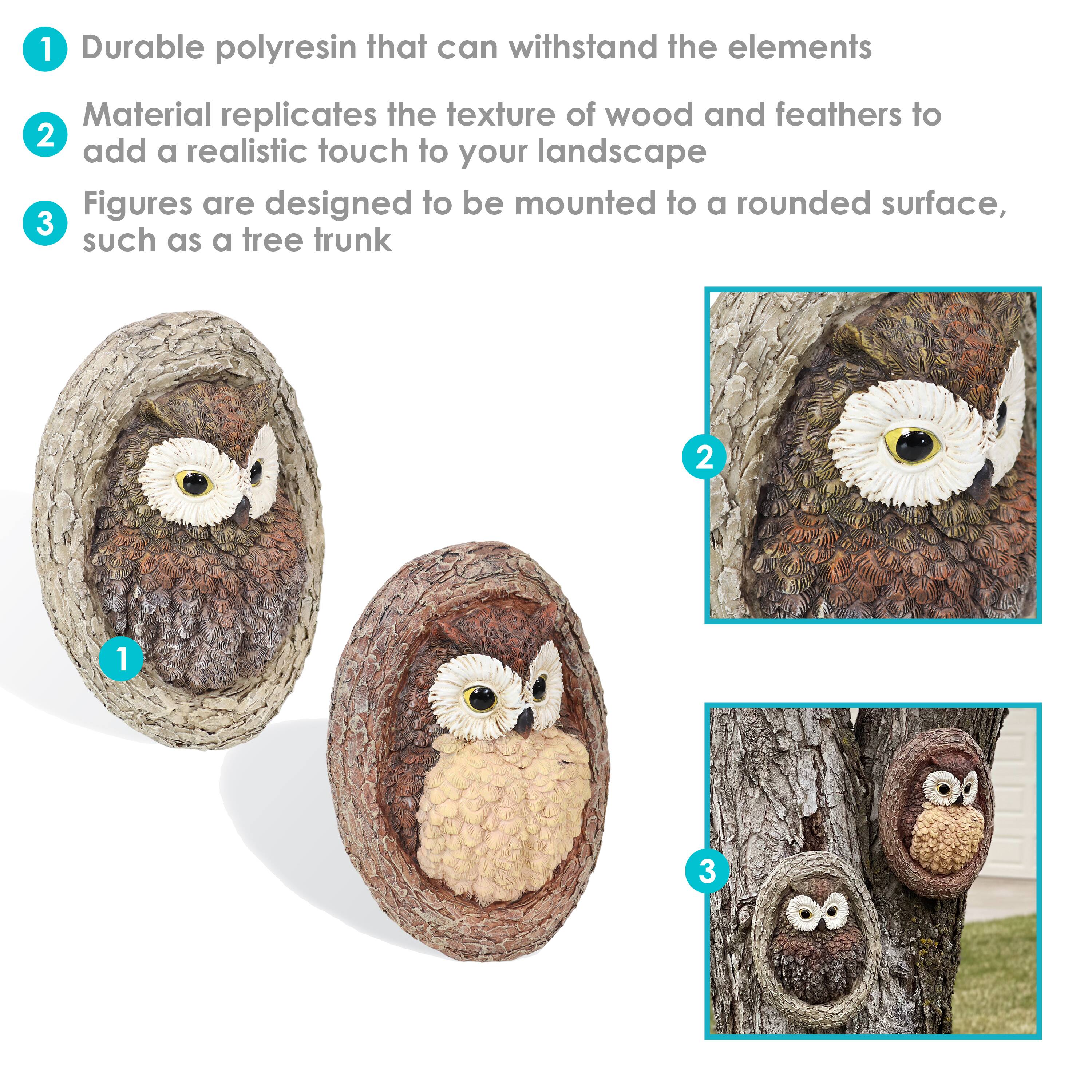 1. Durable polyresin that can withstand the elements
2. Material replicates the texture of wood and feathers to add a realistic touch to your landscape
3. Figures are designed to be mounted to a rounded surface, such as a tree trunk