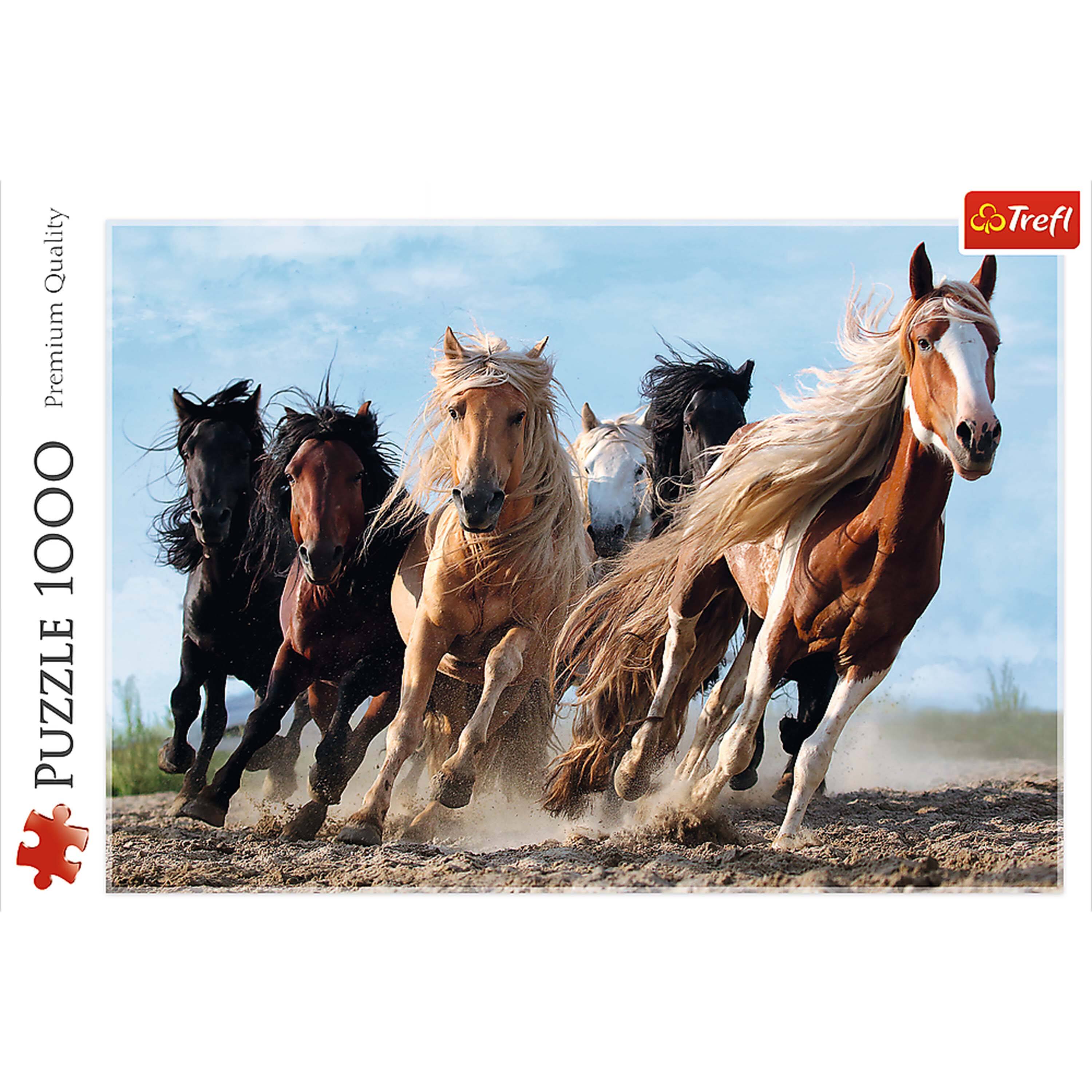 Quality Premium 1000 PUZZLE Trefl

PUZZLE 1000 Premium Quality