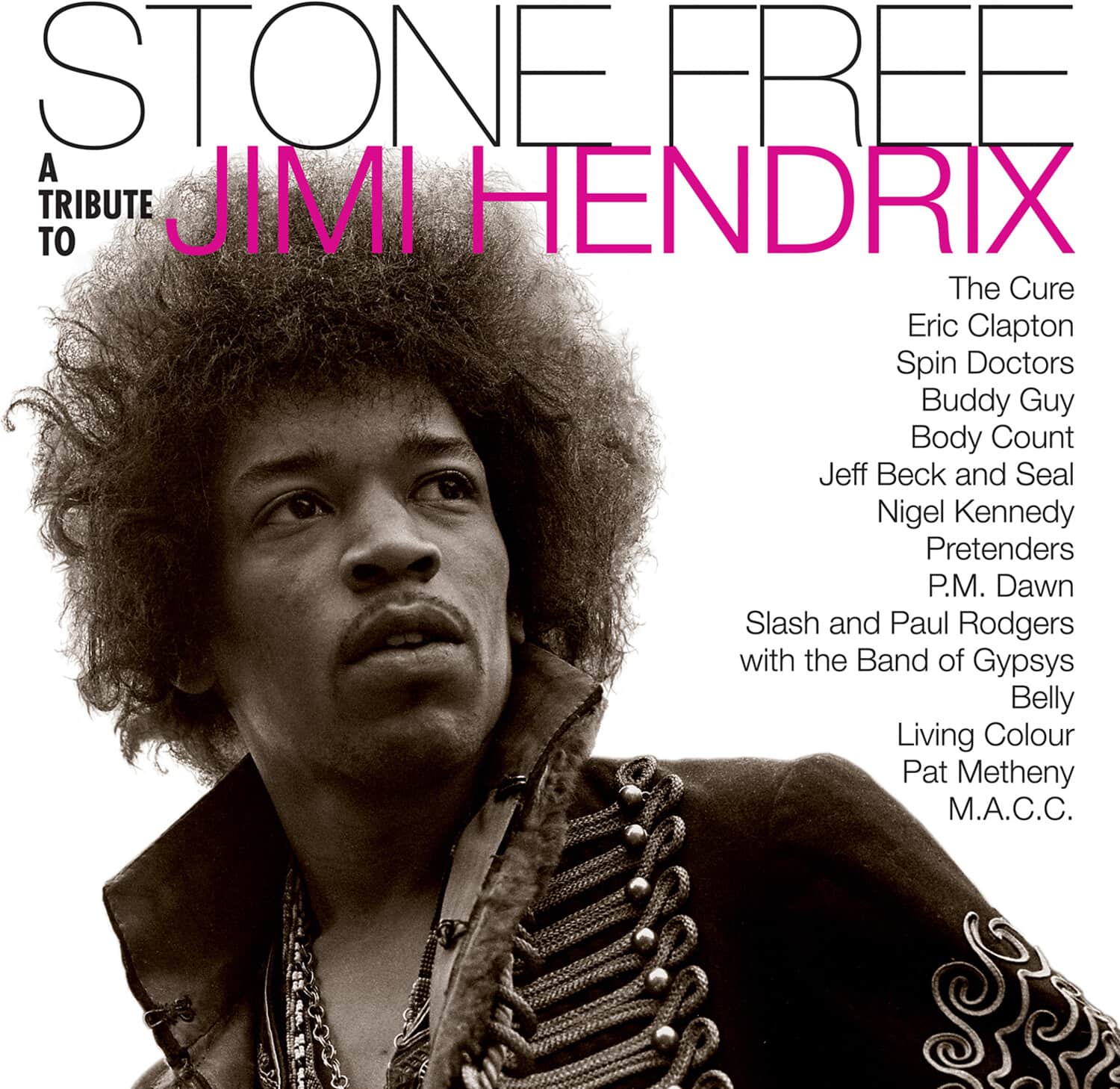 Jimmy Tribute Hendrix - Stone Free: Jimi Hendrix Tribute   - VINYL LP price history on PriceWatchPro
