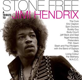 Jimmy Tribute Hendrix - Stone Free: Jimi Hendrix Tribute - VINYL LP