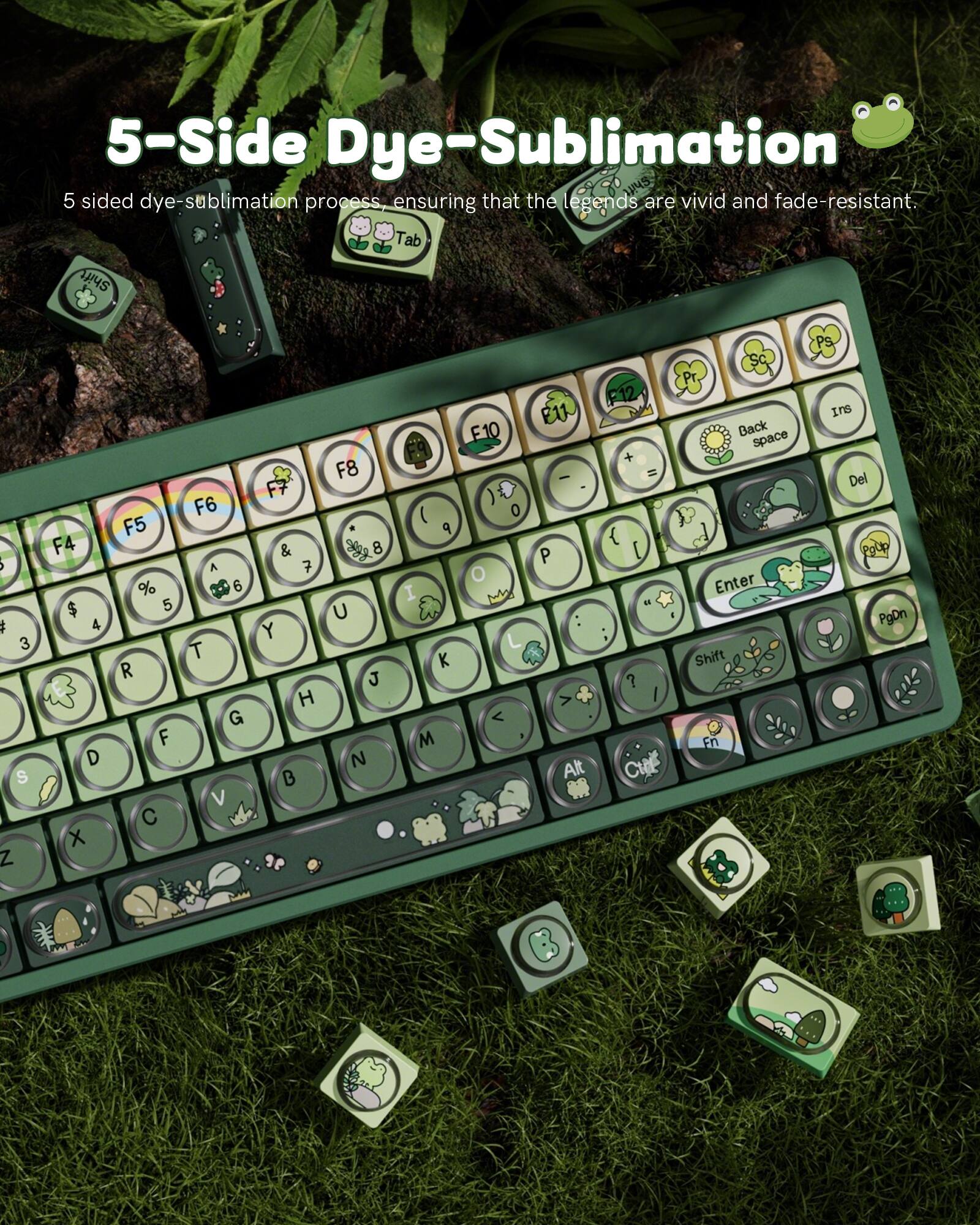 5-Side Dye-Sublimation

5 sided dye-sublimation process, ensuring that the legends are vivid and fade-resistant.