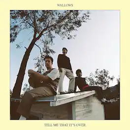 Wallows - Tell Me That It's Over - VINYL LP