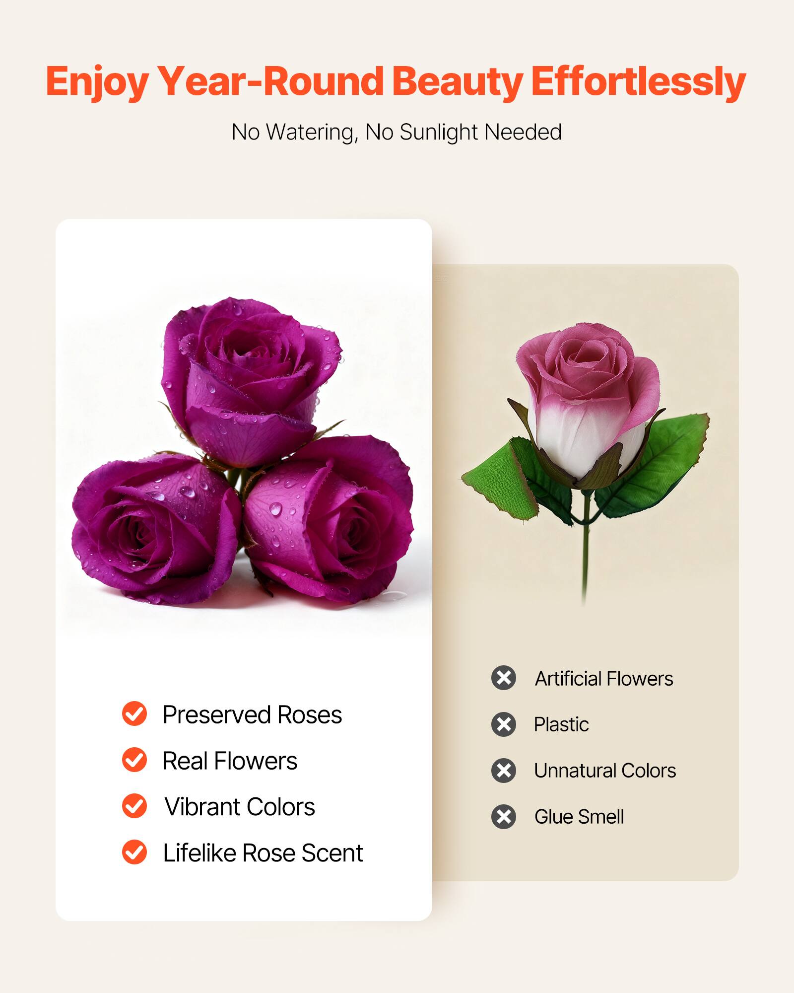 Enjoy Year-Round Beauty Effortlessly  
No Watering, No Sunlight Needed  

Preserved Roses  
Real Flowers  
Vibrant Colors  
Lifelike Rose Scent  

Artificial Flowers  
Plastic  
Unnatural Colors  
Glue Smell