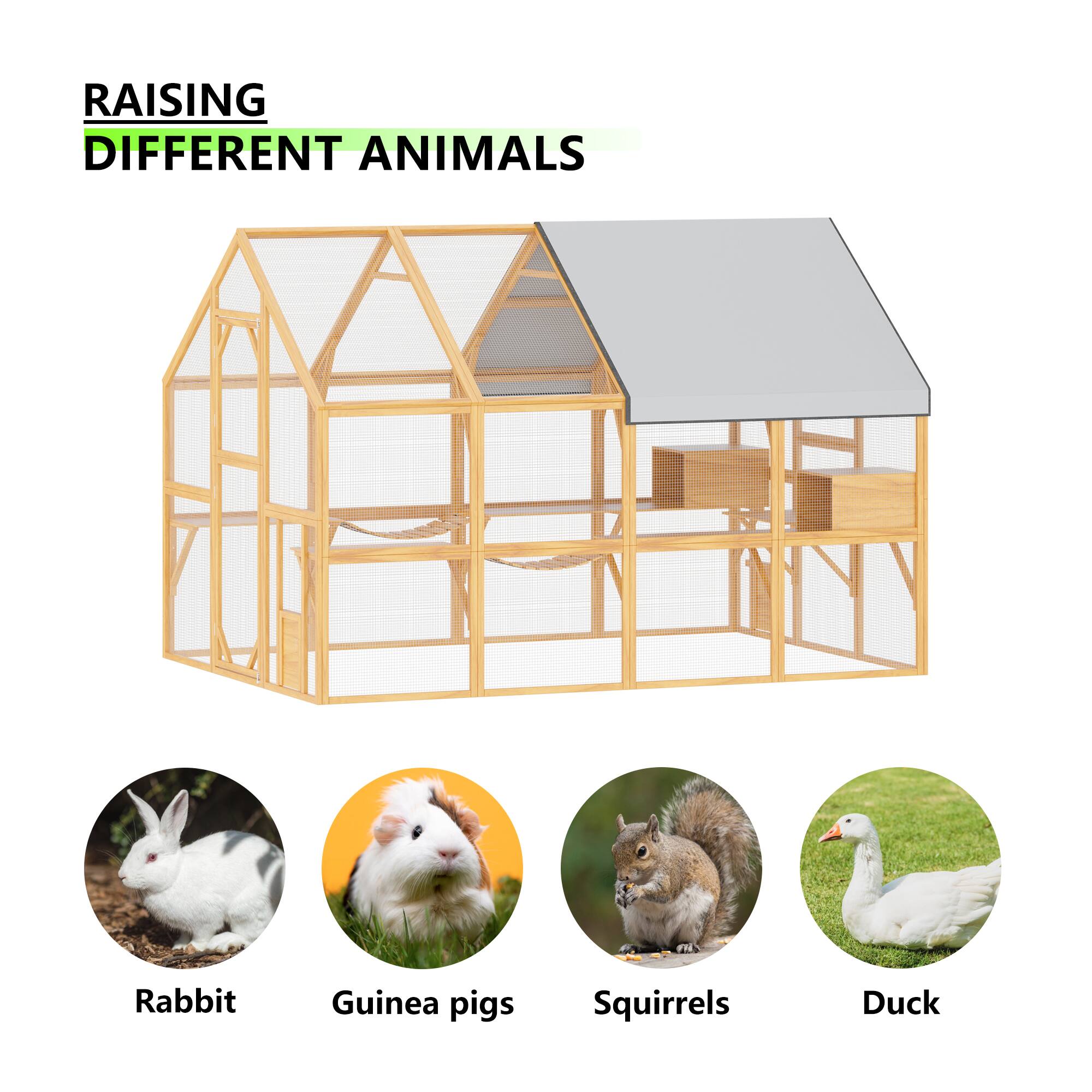 RAISING DIFFERENT ANIMALS

Rabbit  
Guinea pigs  
Squirrels  
Duck