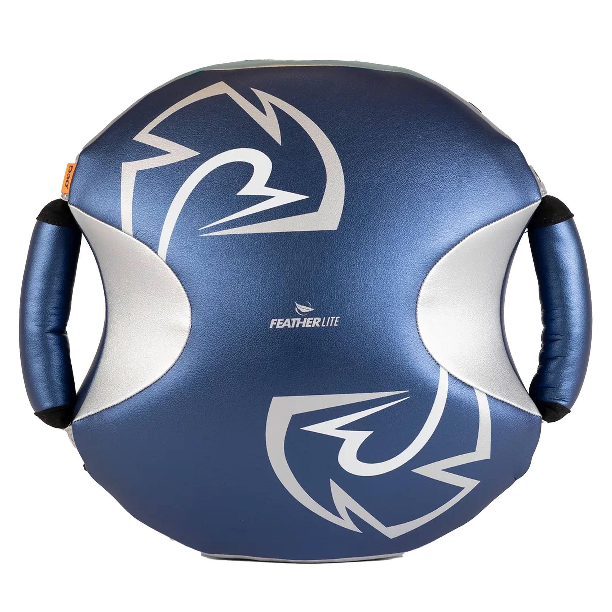 Blue/Silver