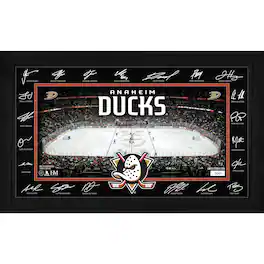 Highland Mint - Anaheim Ducks 2025 Signature Rink Framed Art - Multicolor
