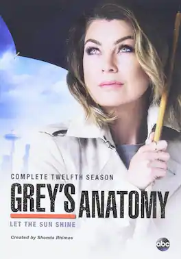 Grey's Anatomy: Complete Twelfth Season - DVD