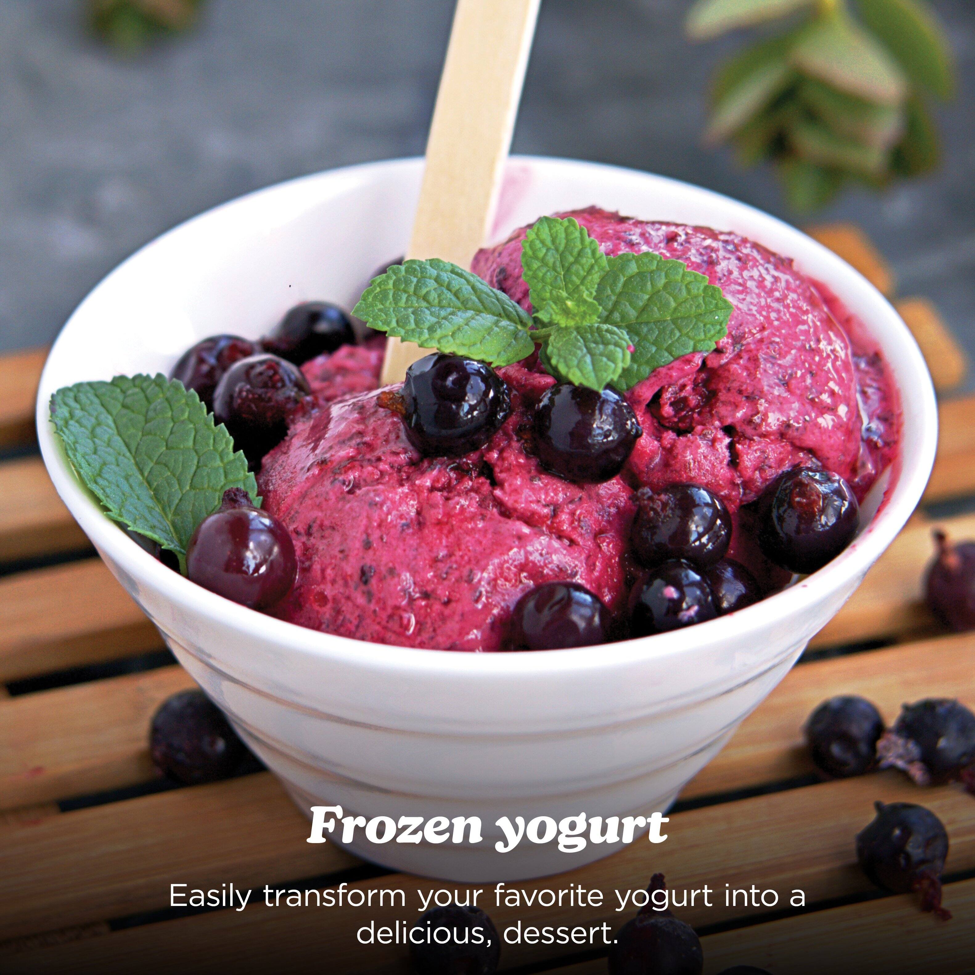 Frozen yogurt  
Easily transform your favorite yogurt into a delicious dessert.
