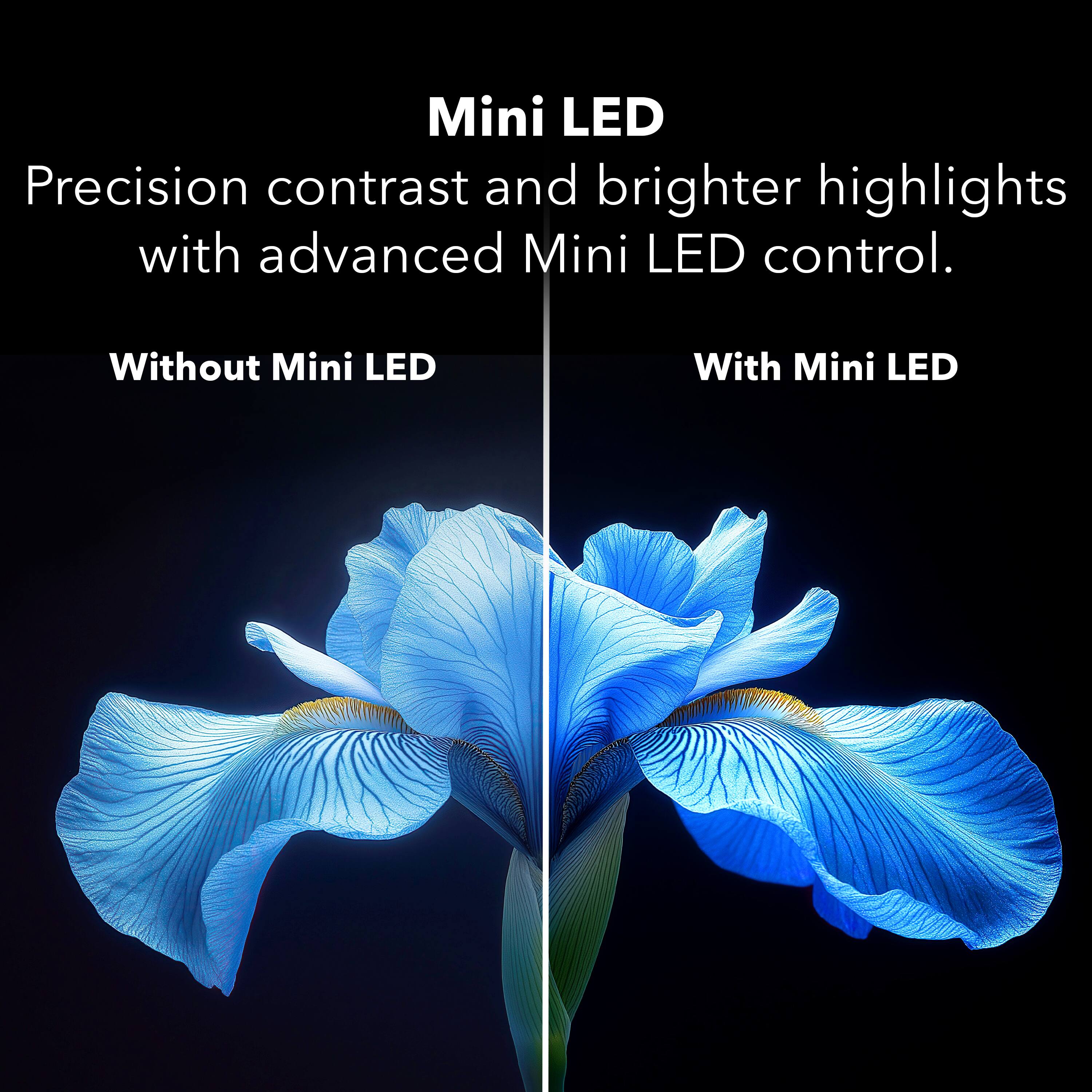 Mini LED  
Precision contrast and brighter highlights with advanced Mini LED control.  
Without Mini LED  
With Mini LED
