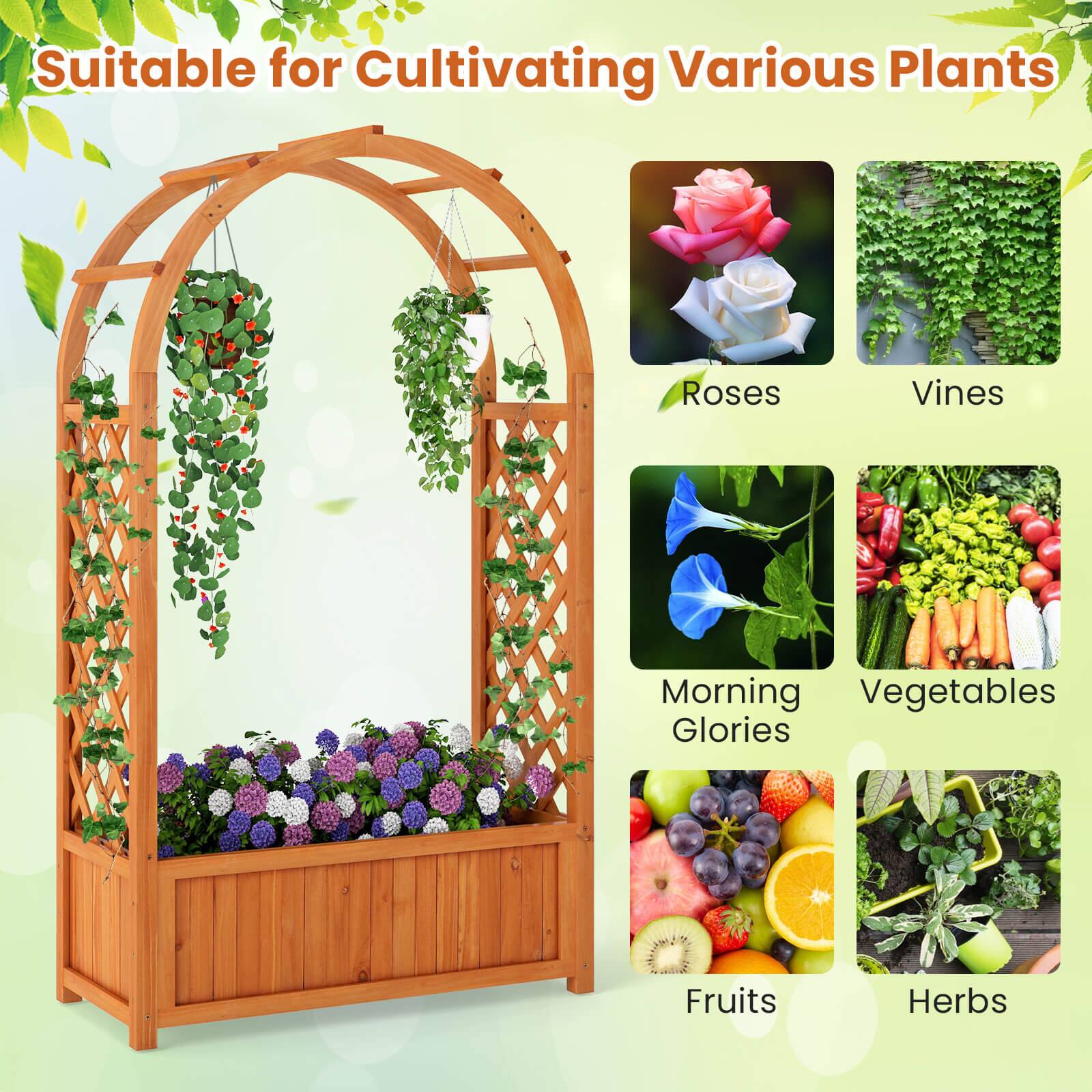 Suitable for Cultivating Various Plants

- Roses
- Vines
- Morning Glories
- Vegetables
- Fruits
- Herbs