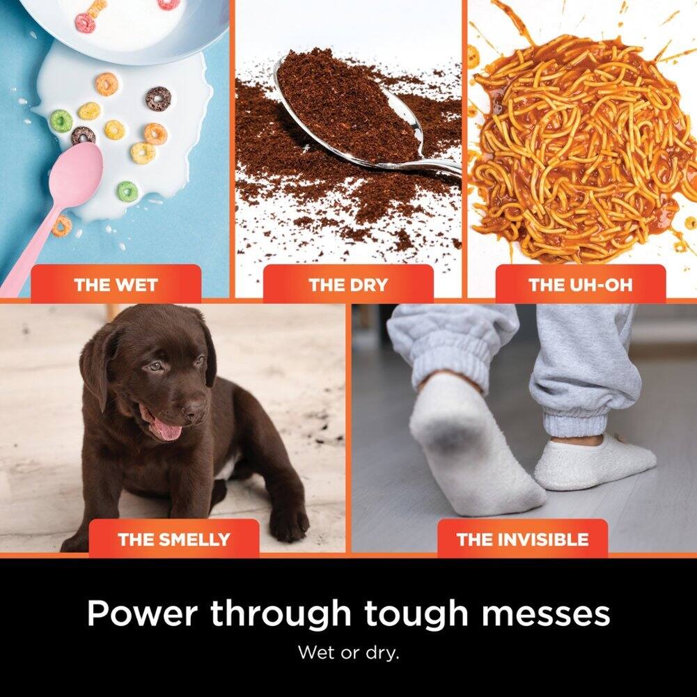 THE WET  
THE DRY  
THE UH-OH  
THE SMELLY  
THE INVISIBLE  

Power through tough messes  
Wet or dry.