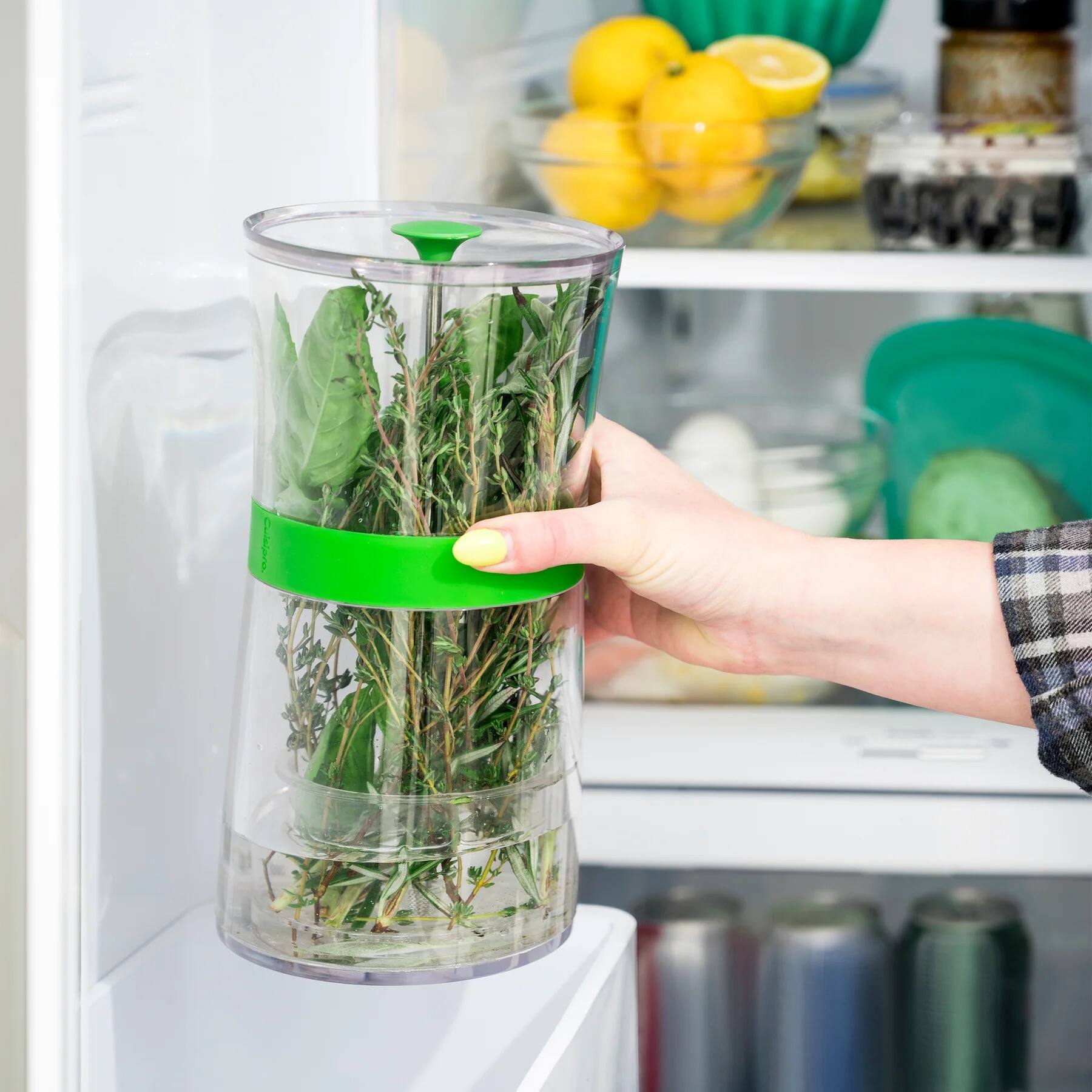 Alt View 4. Cuisipro - Original Herb Keeper Keeps Herbs Fresh Storage Container - Green.