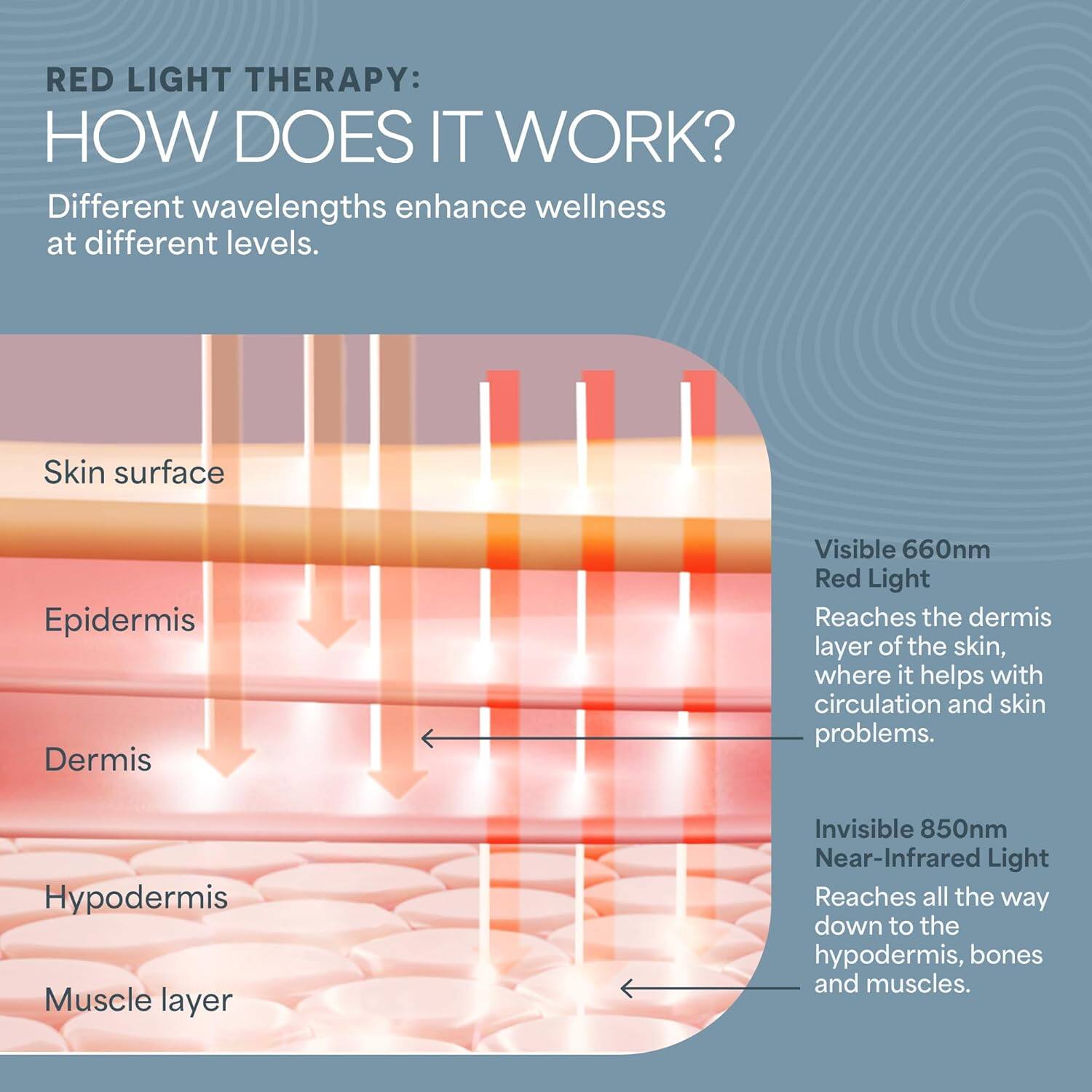 **RED LIGHT THERAPY: HOW DOES IT WORK?**

Different wavelengths enhance wellness at different levels.

- **Visible 660nm Red Light**
  - Reaches the dermis layer of the skin, where it helps with circulation and skin problems.

- **Invisible 850nm Near-Infrared Light**
  - Reaches all the way down to the hypodermis, bones, and muscles.

**Skin surface**
- Epidermis
- Dermis
- Hypodermis
- Muscle layer