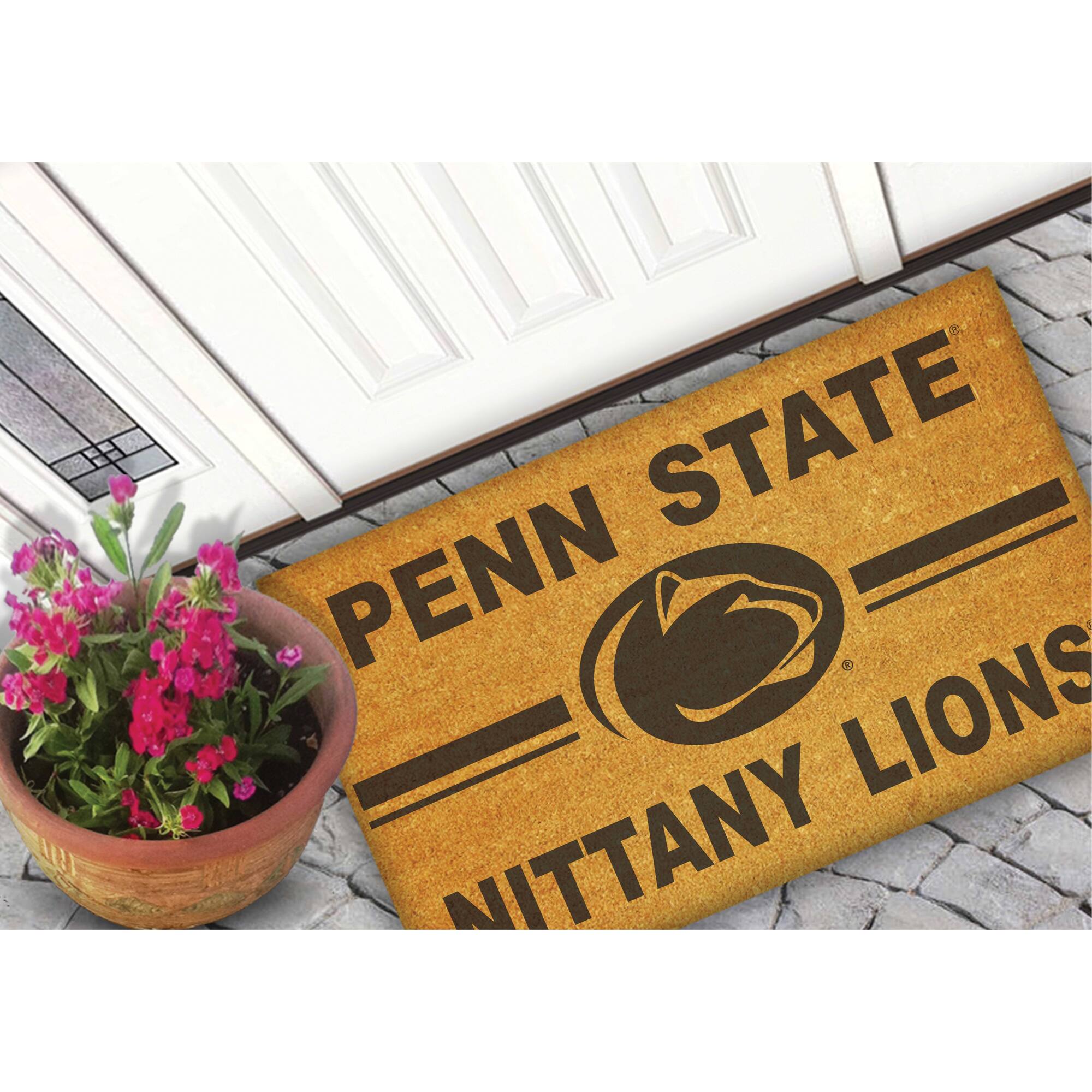 PENN STATE  
NITTANY LIONS