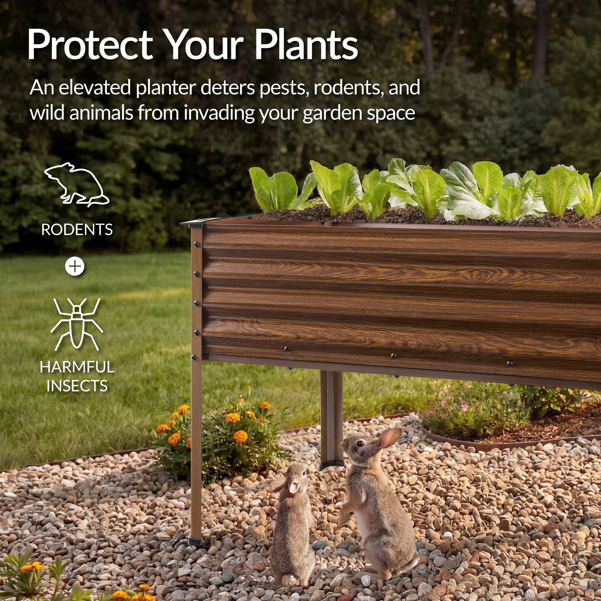 Protect Your Plants

An elevated planter deters pests, rodents, and wild animals from invading your garden space

RODENTS + HARMFUL INSECTS