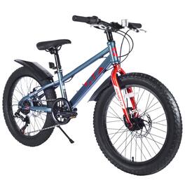 BreeBe - 20 Inch Kids Fat Tire Mountain Bike, Boys & Girls 5+ Years, Dual Disc Brakes, Shimano 7-Speed, Beach & Snow - Gray