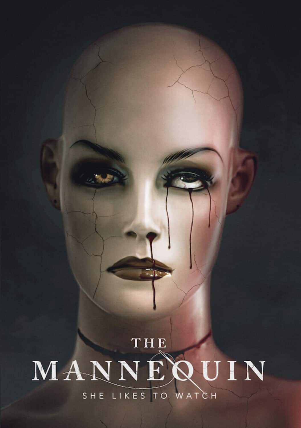 The Mannequin   - DVD price history on PriceWatchPro
