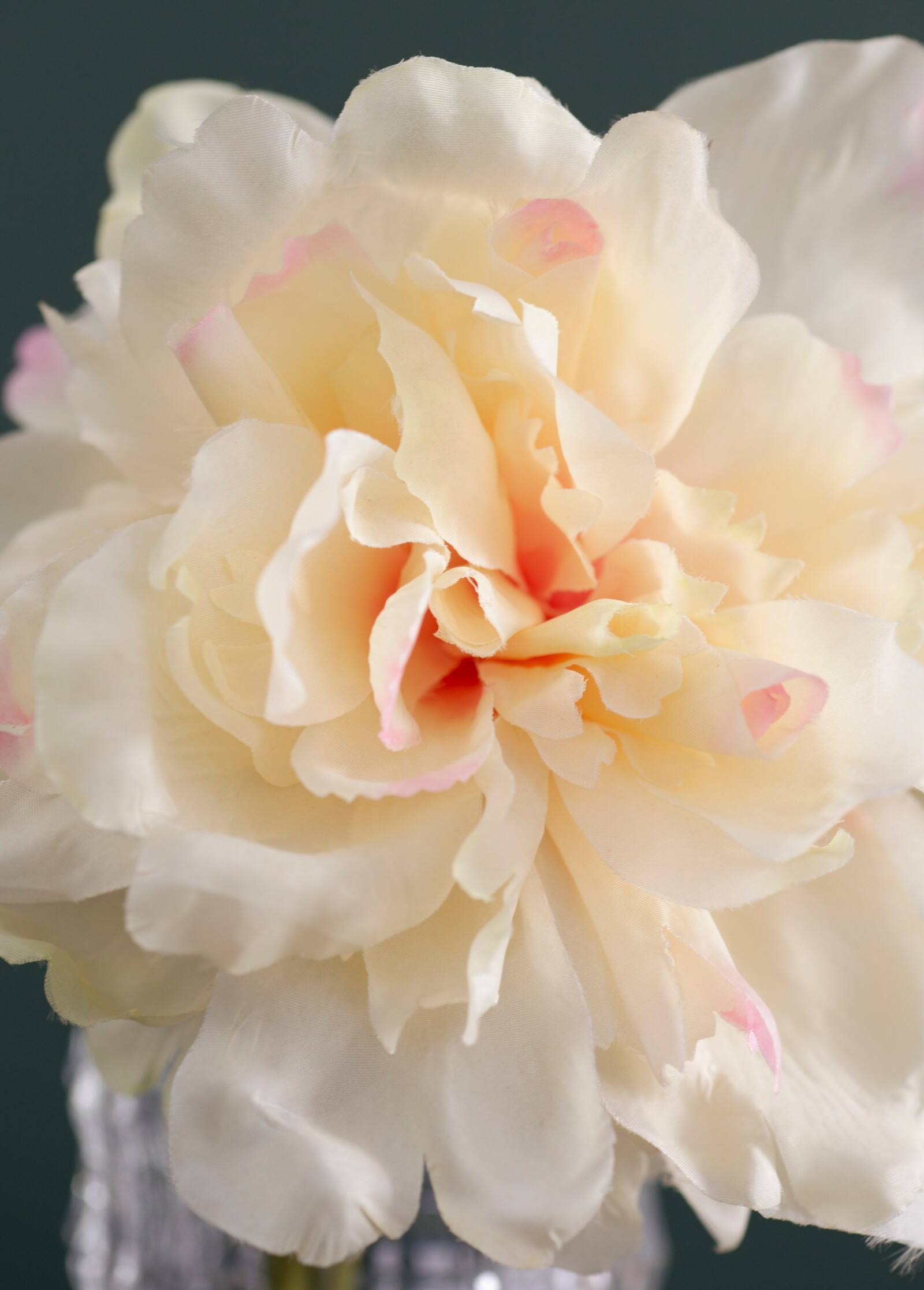 Alt View 5. Glintex - 14 Inch Faux Peony Stem with Pink-Tinged Petals, Lifelike Fabric and Plastic Design for Elegant Home Floral Arrangements - White+Pink.